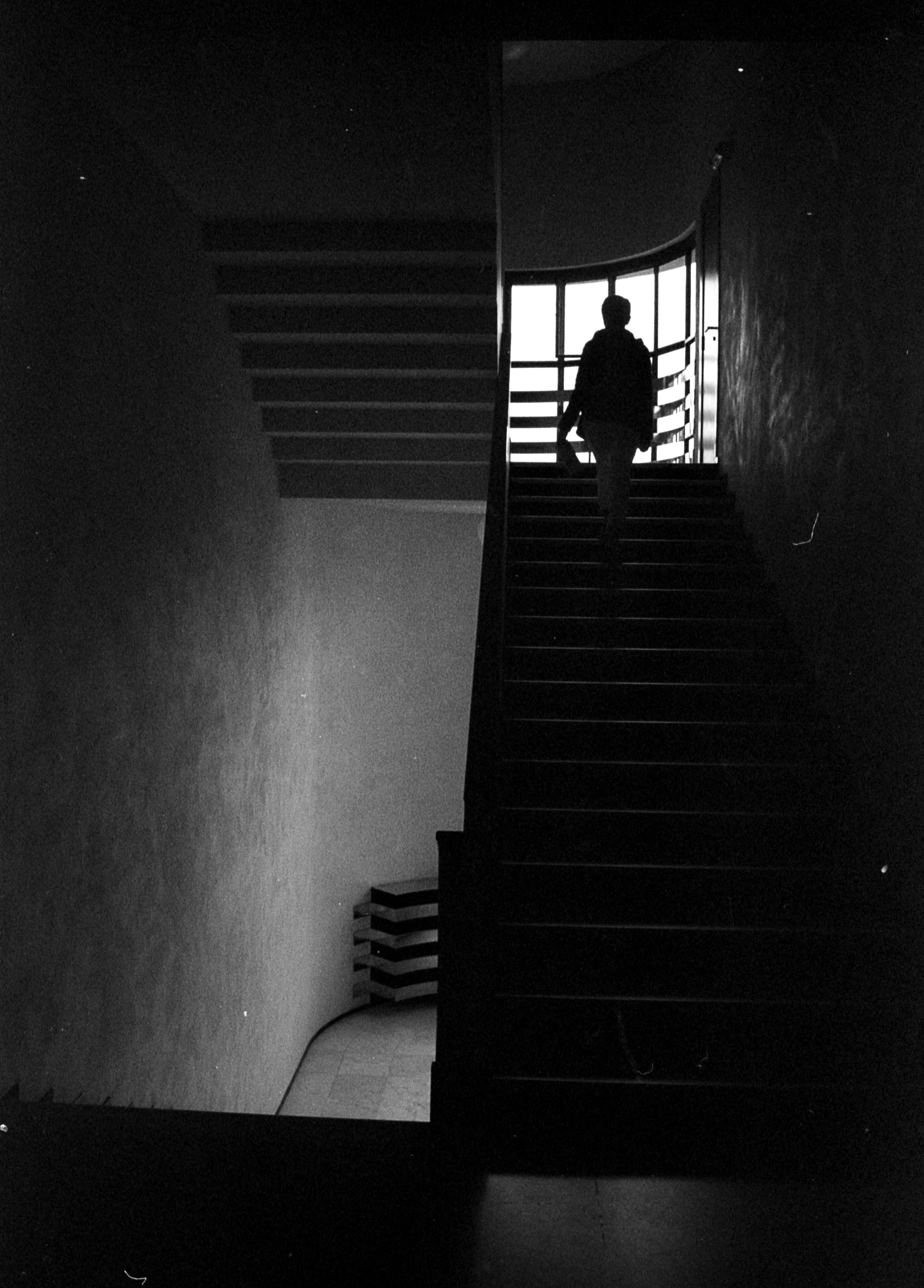 Analog - Photo 9