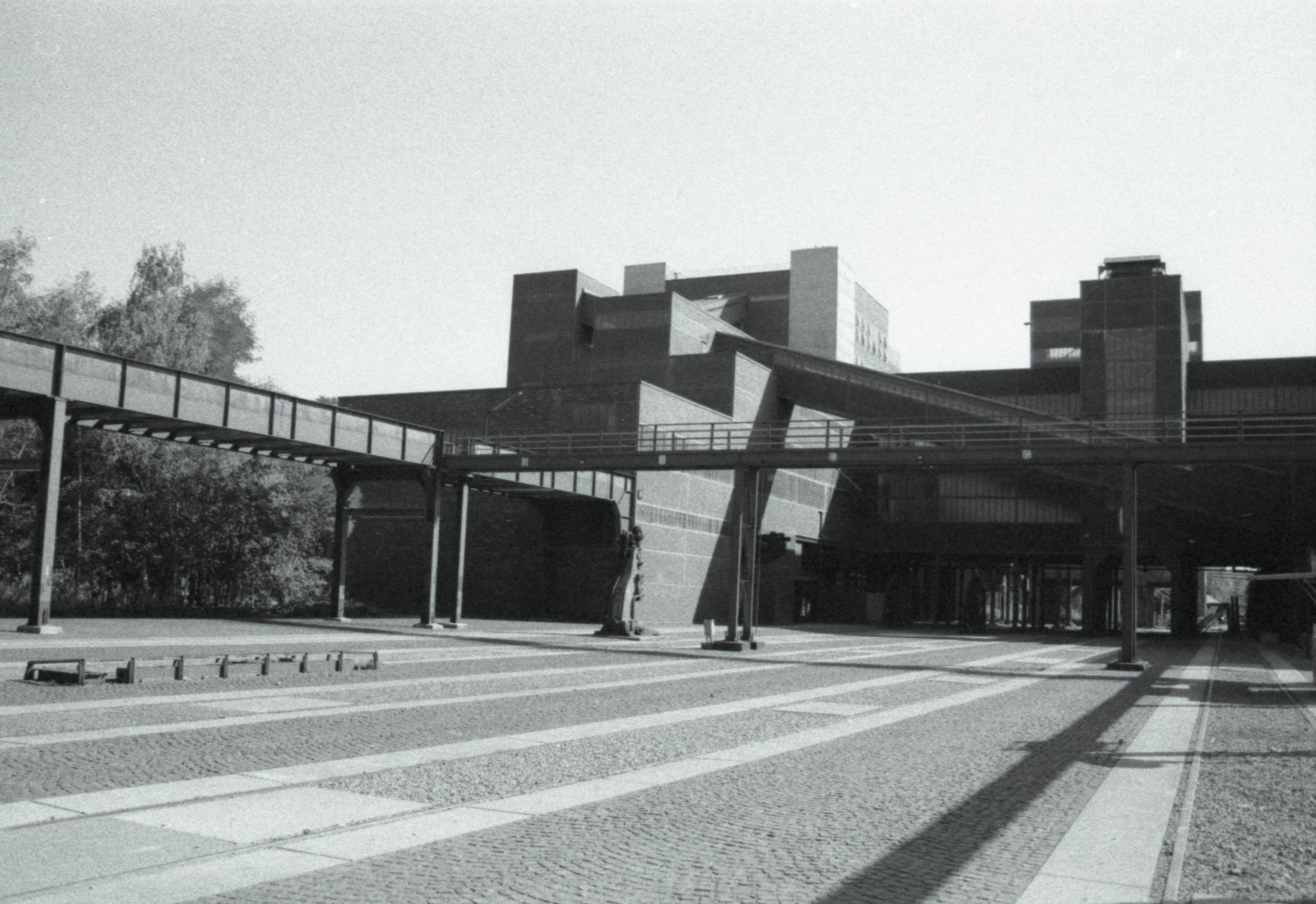 Analog - Photo 12