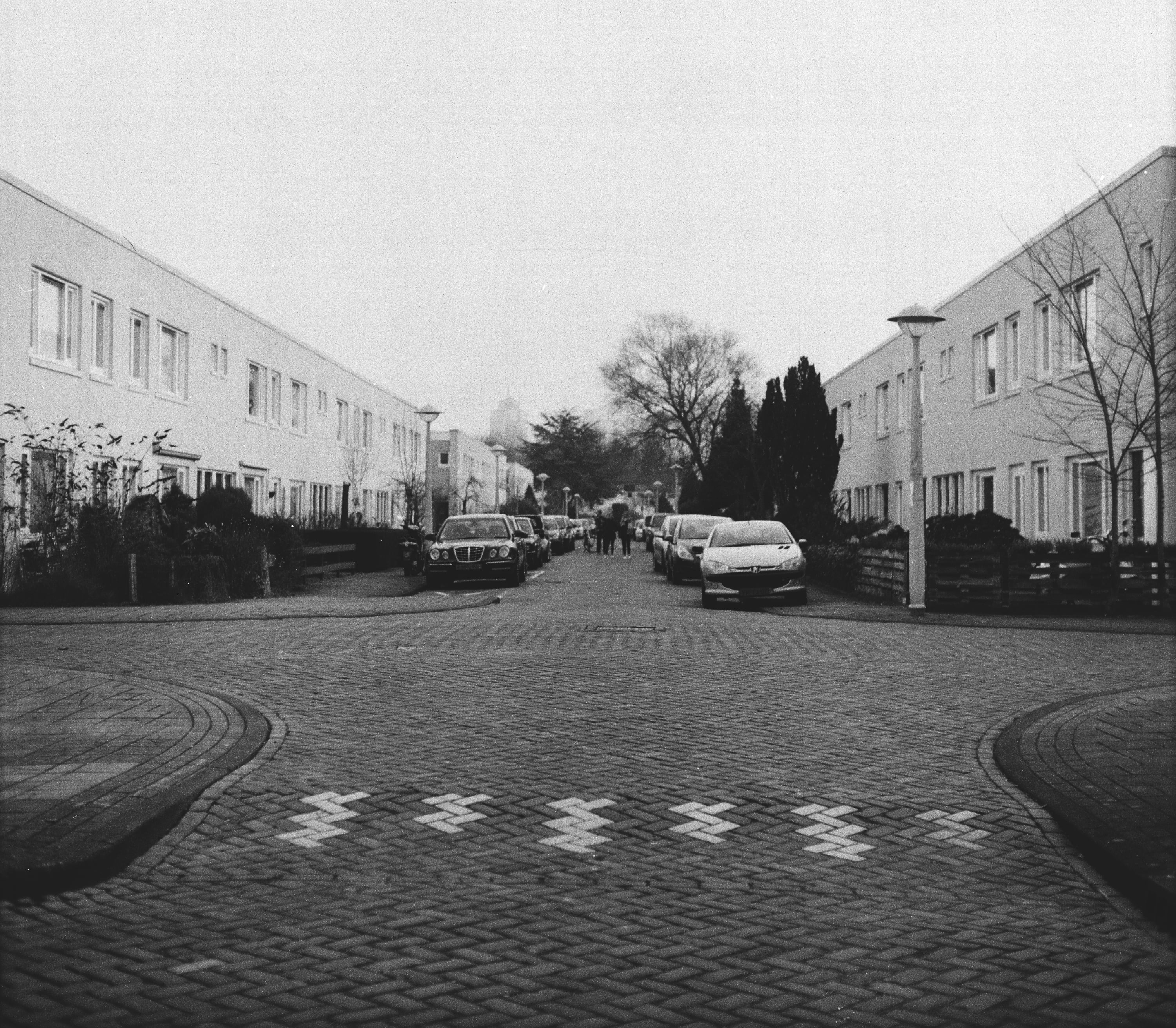 Analog - Photo 11