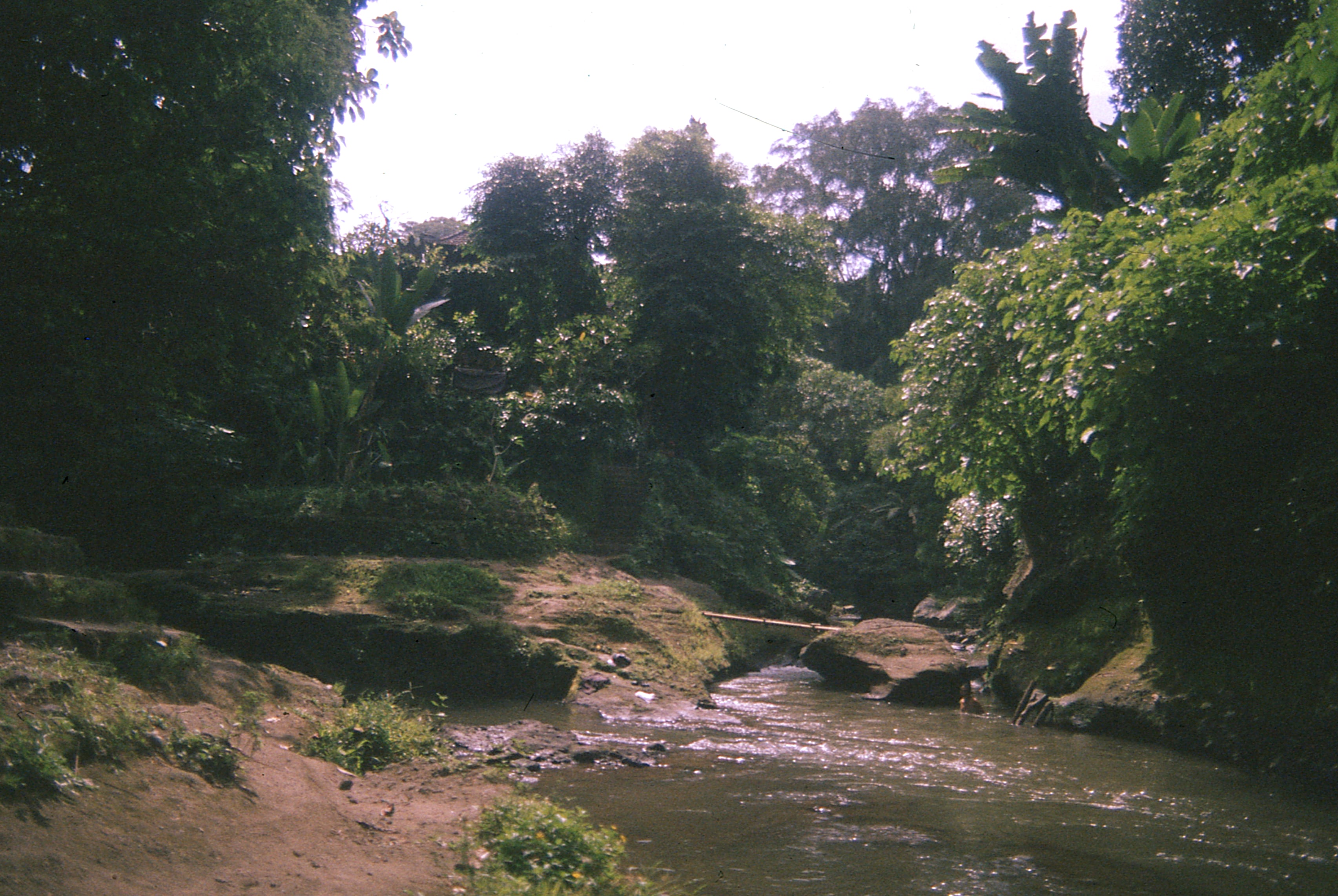 Indonesia - Photo 38