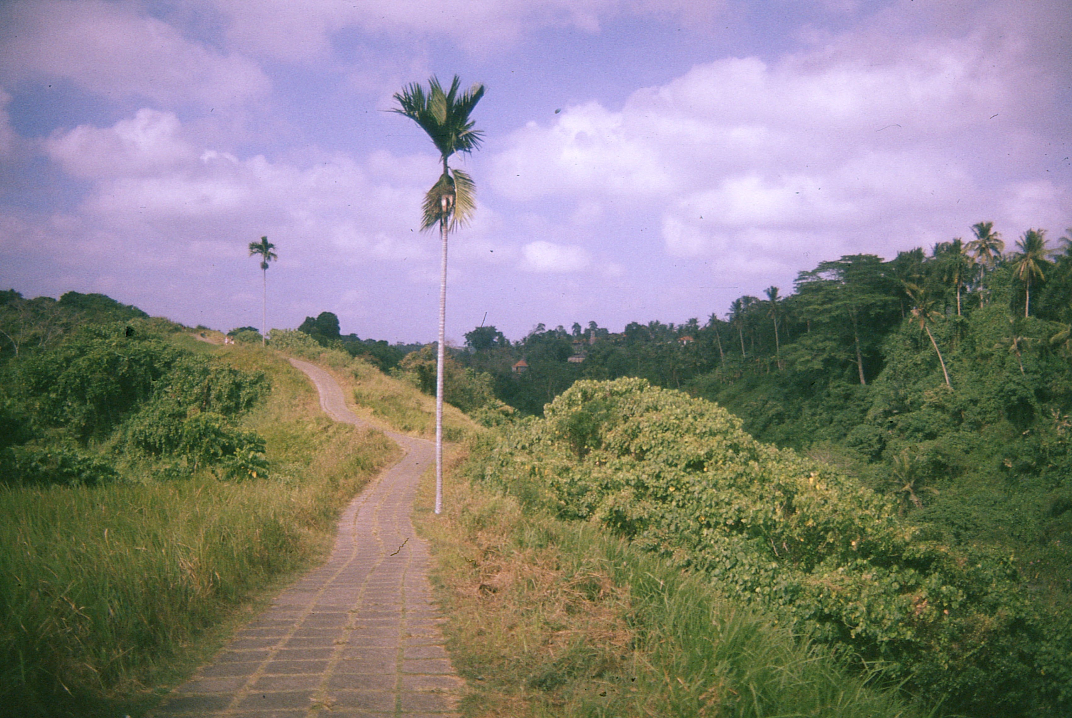 Indonesia - Photo 8