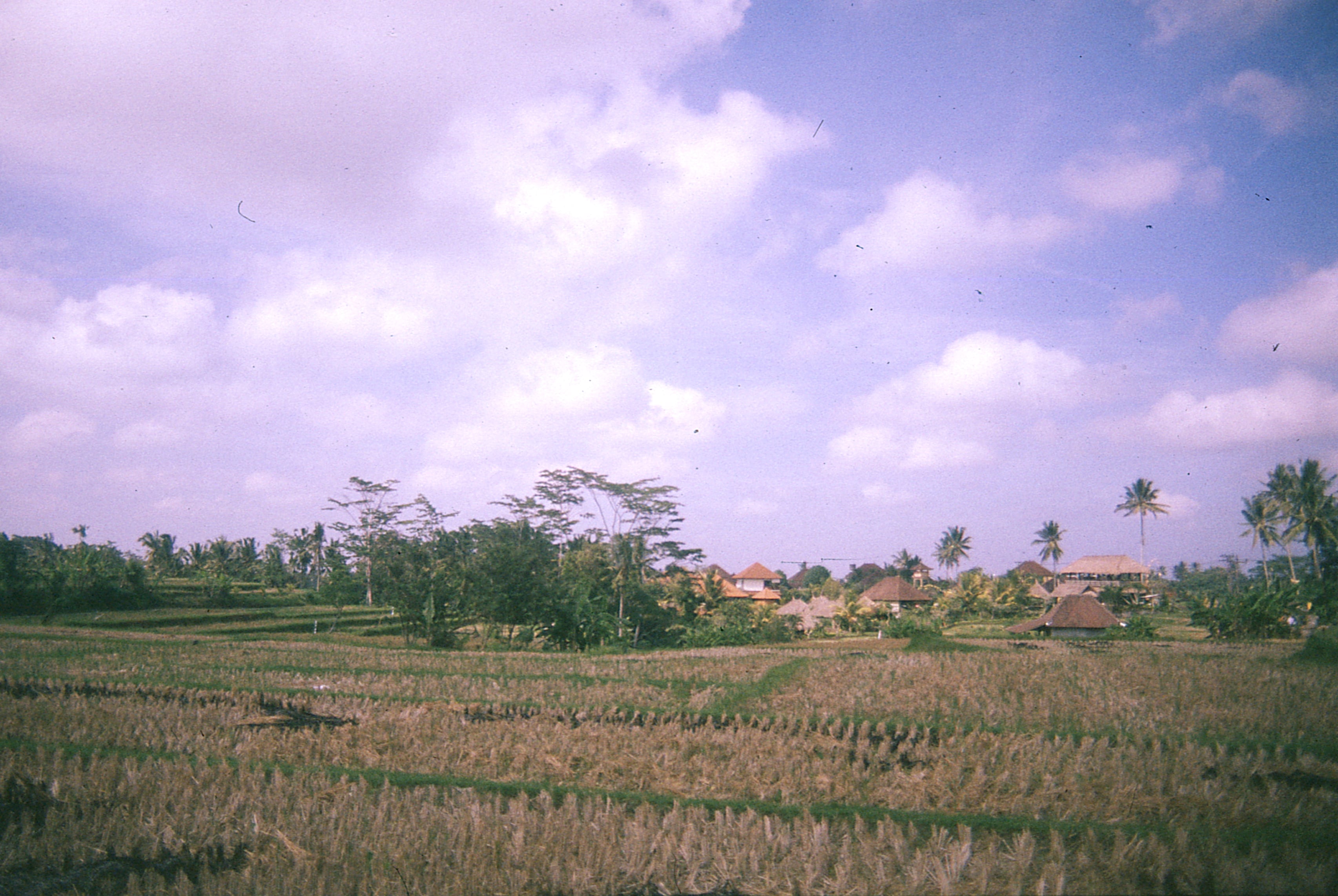 Indonesia - Photo 55