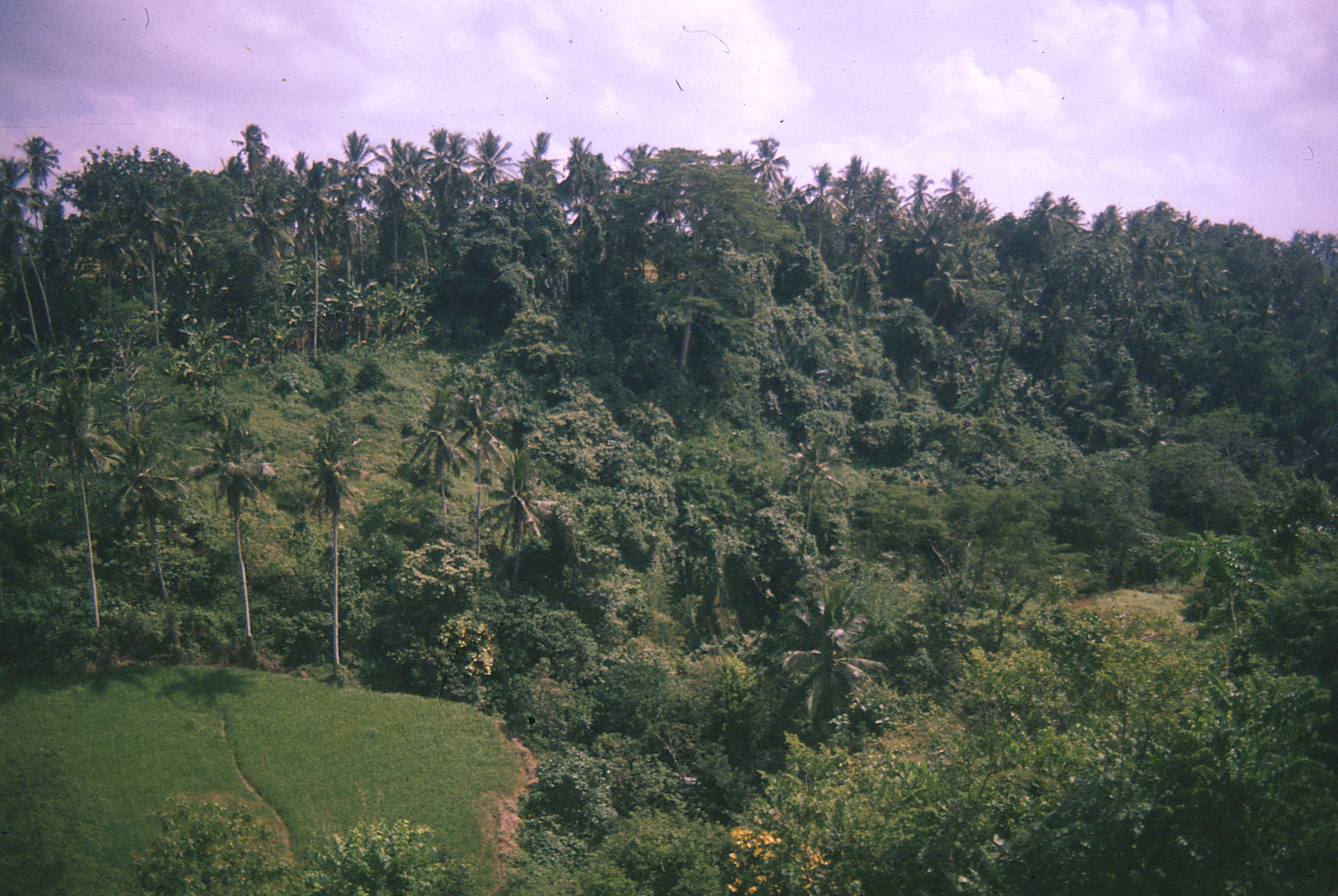 Indonesia - Photo 58