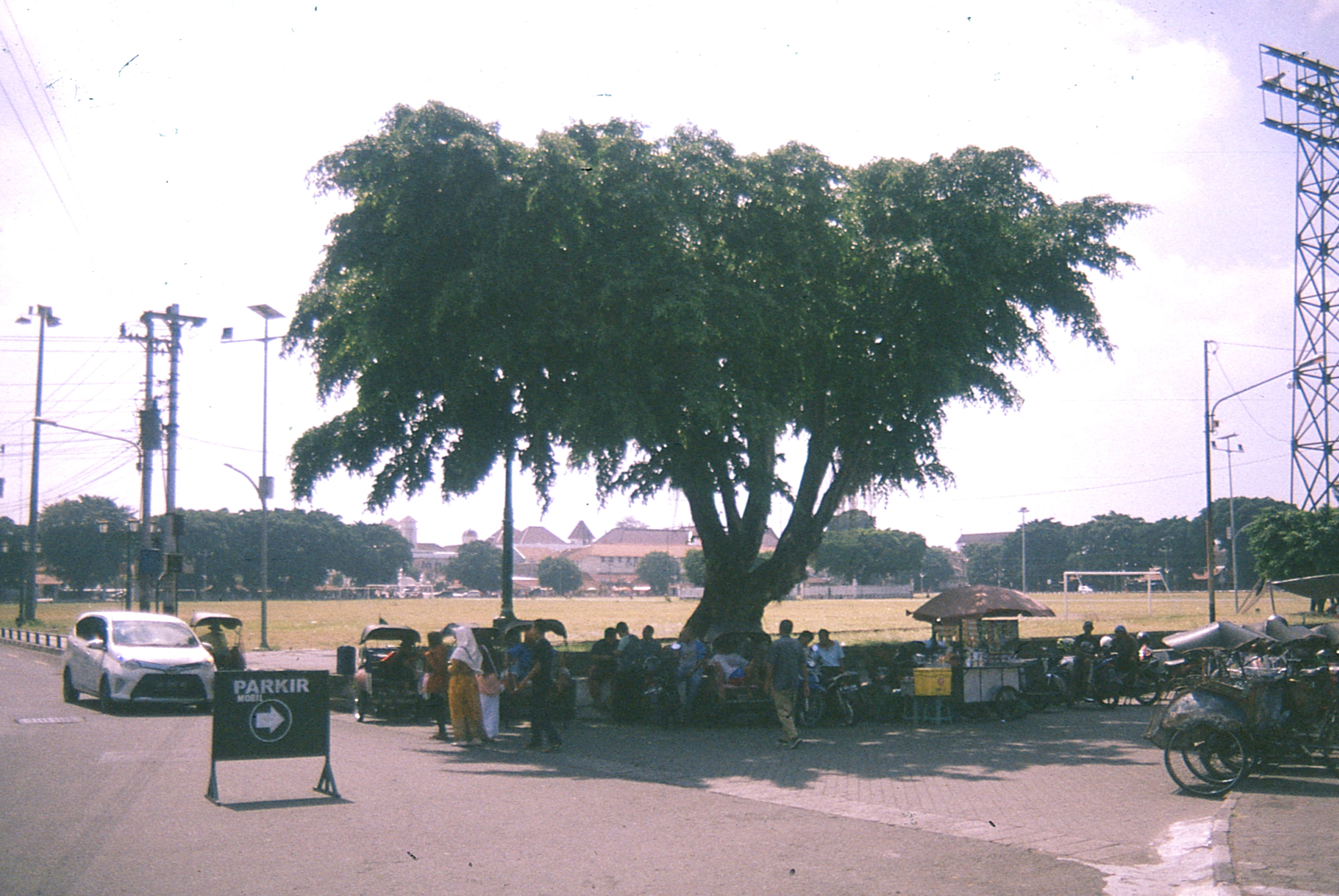 Indonesia - Photo 49