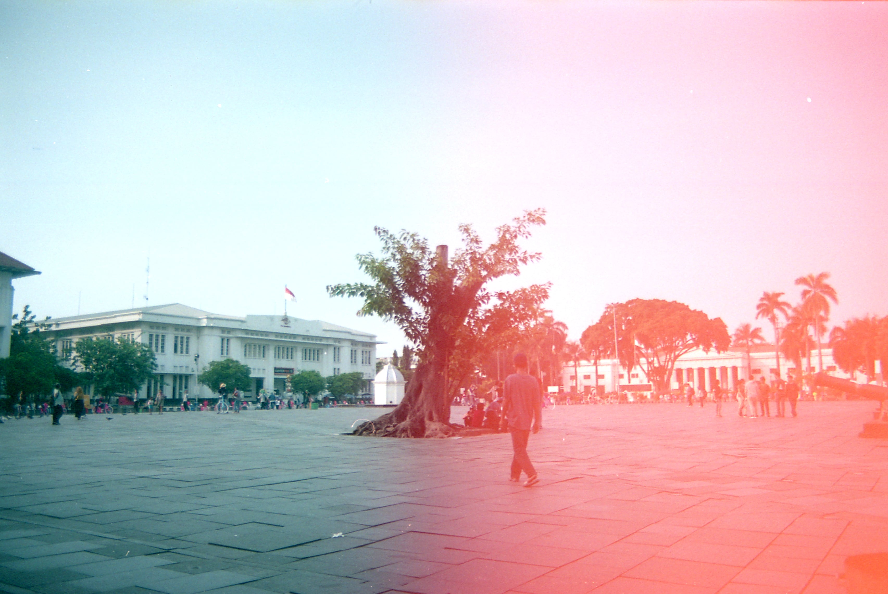 Indonesia - Photo 60