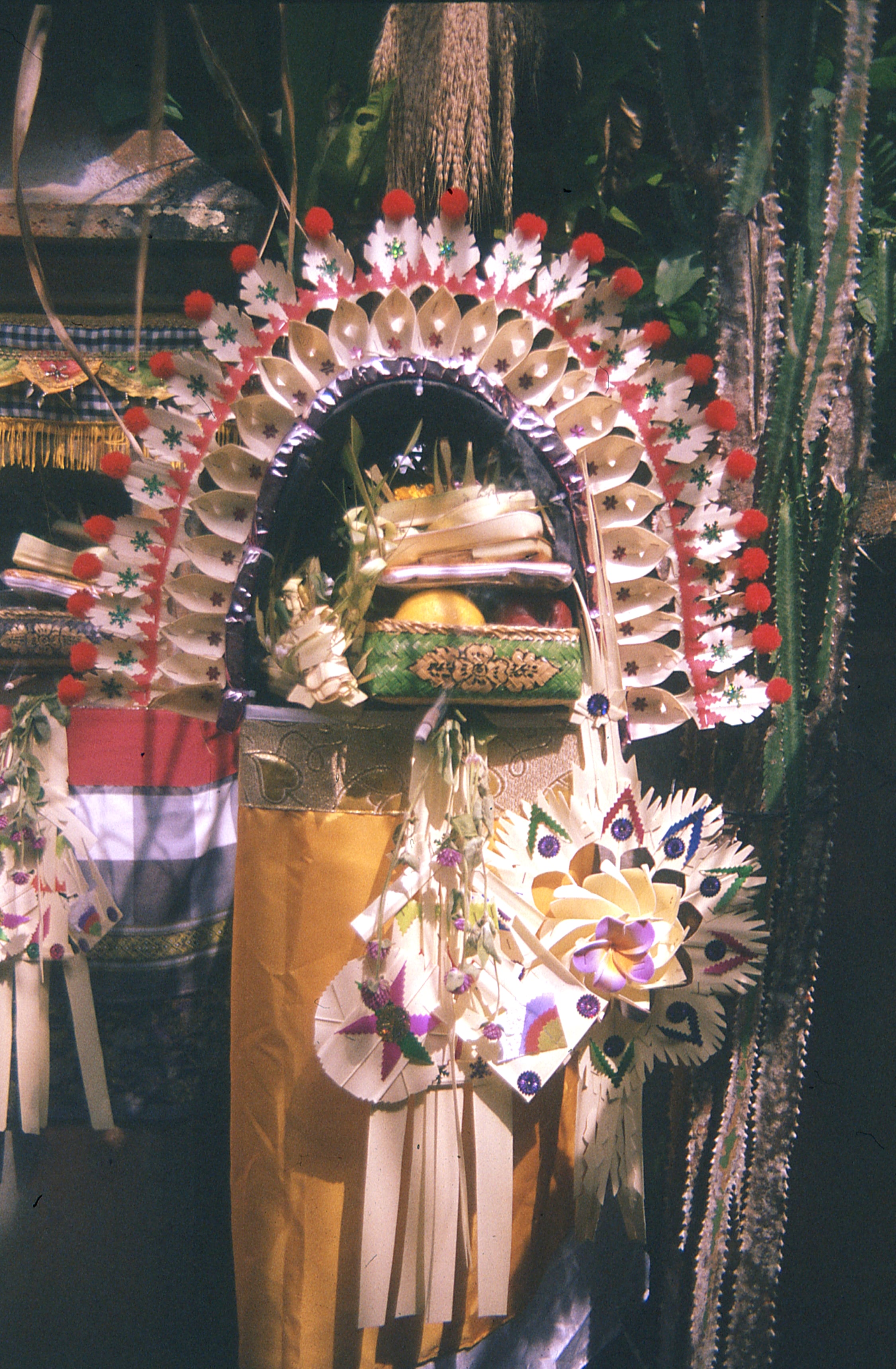 Indonesia - Photo 53