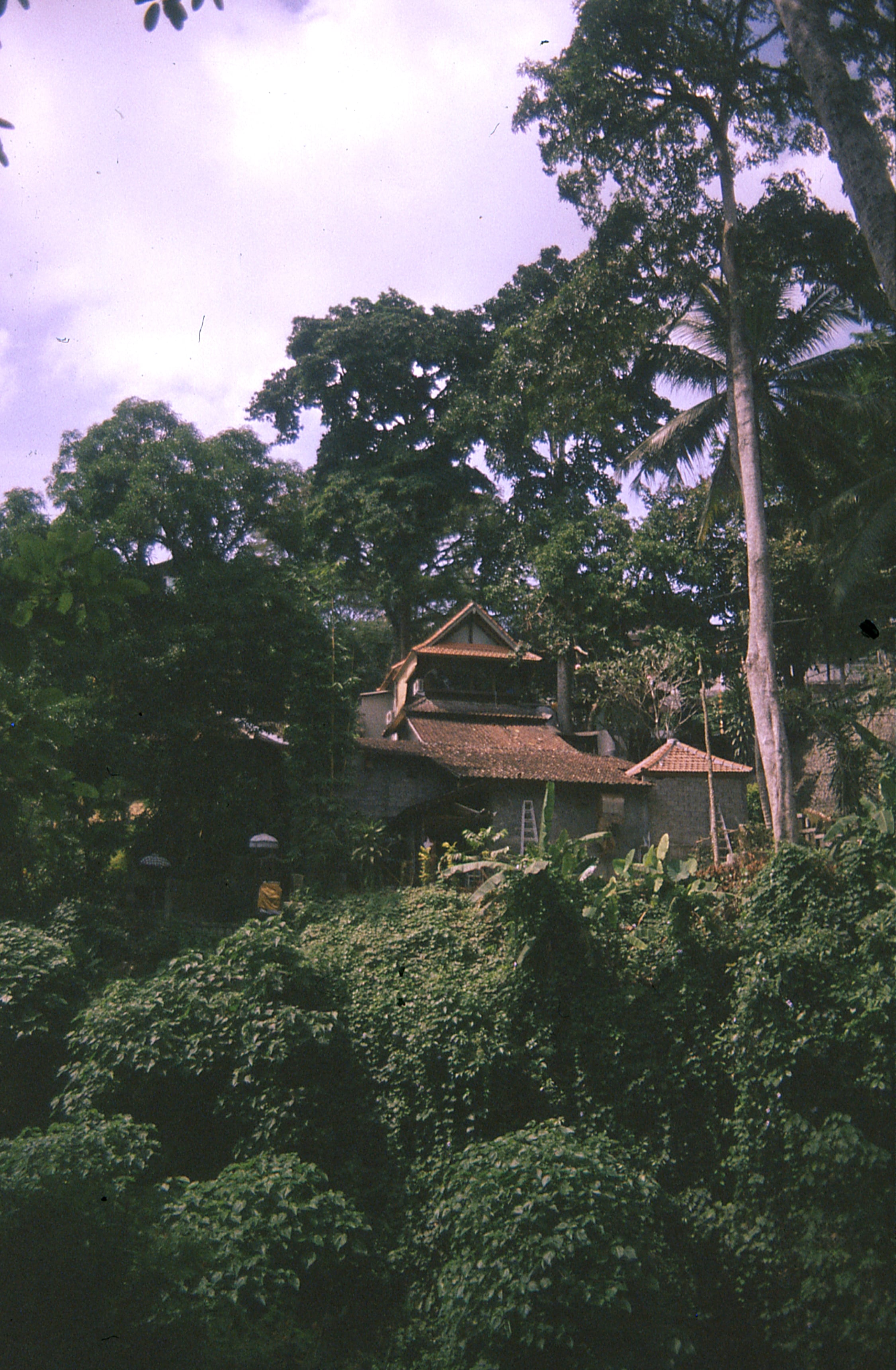 Indonesia - Photo 5