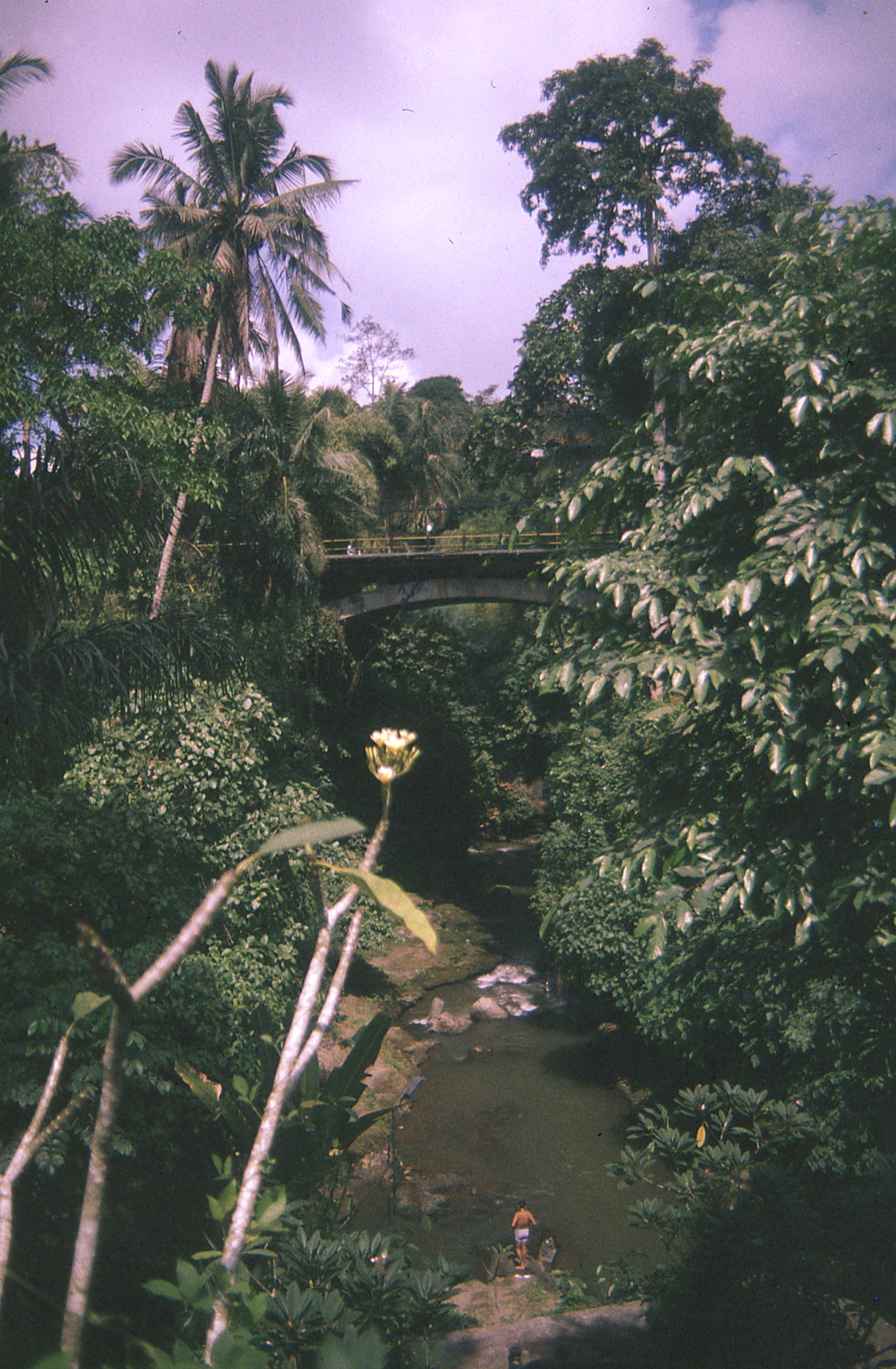 Indonesia - Photo 30