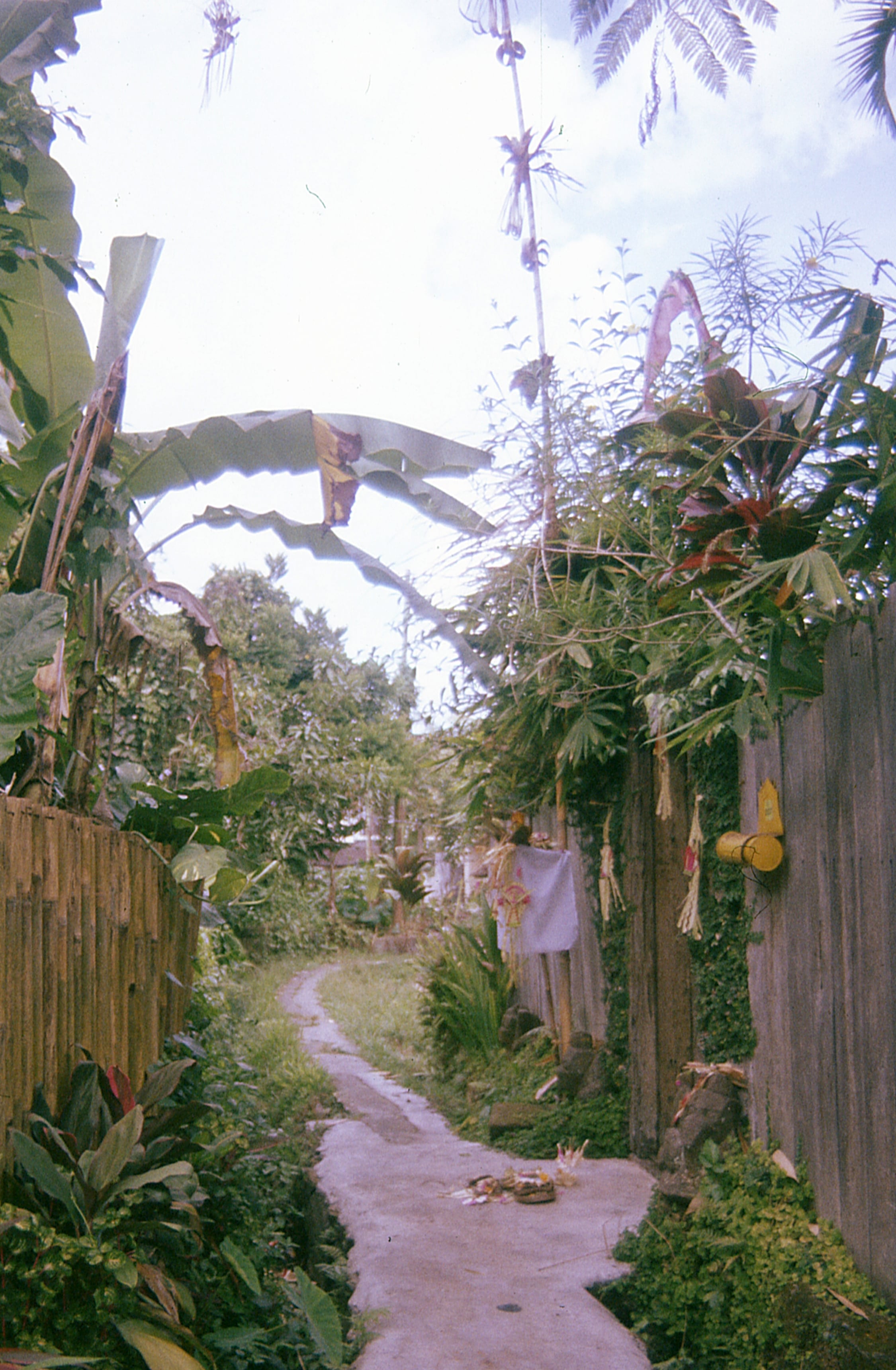 Indonesia - Photo 43