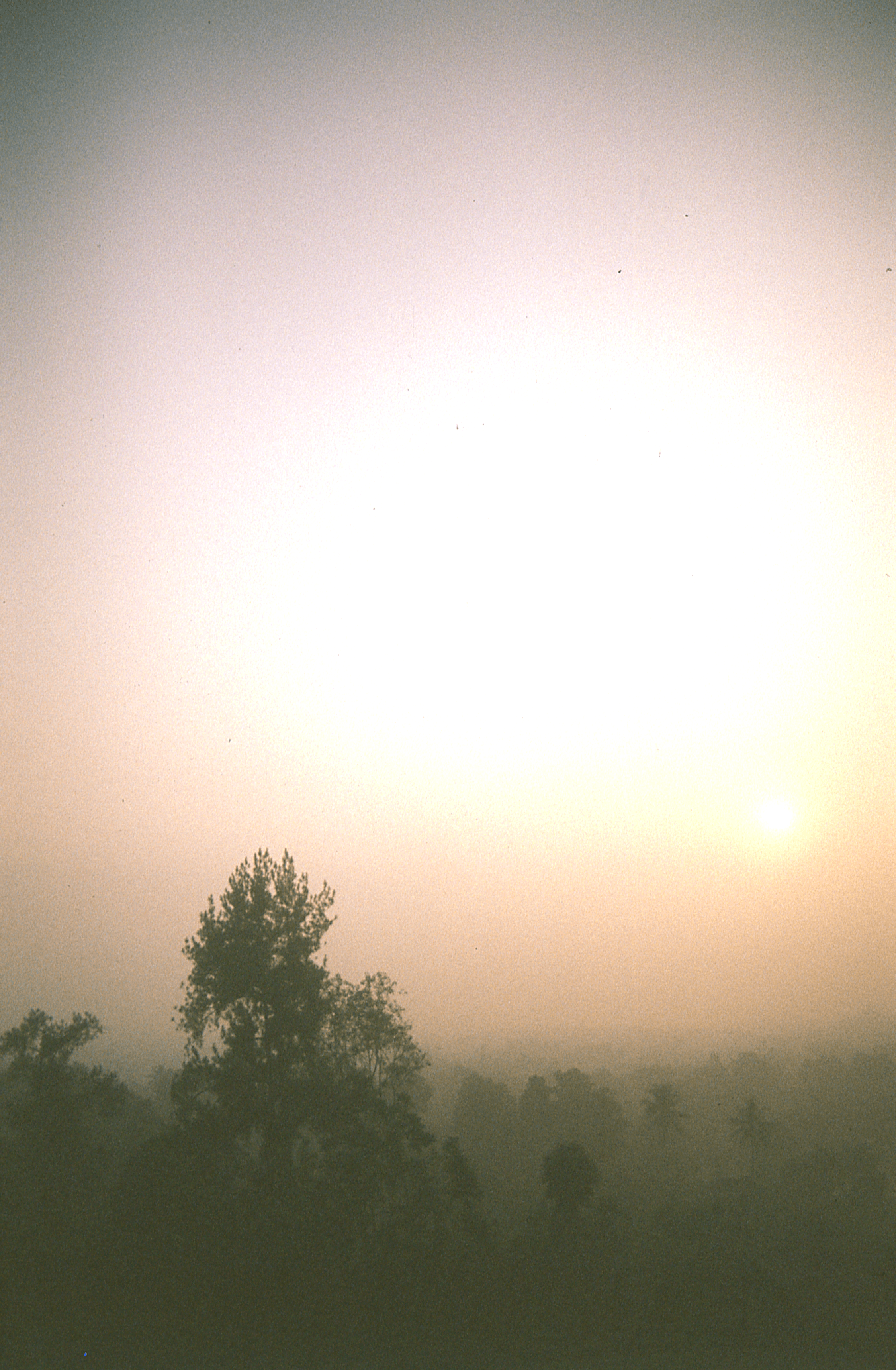 Indonesia - Photo 59