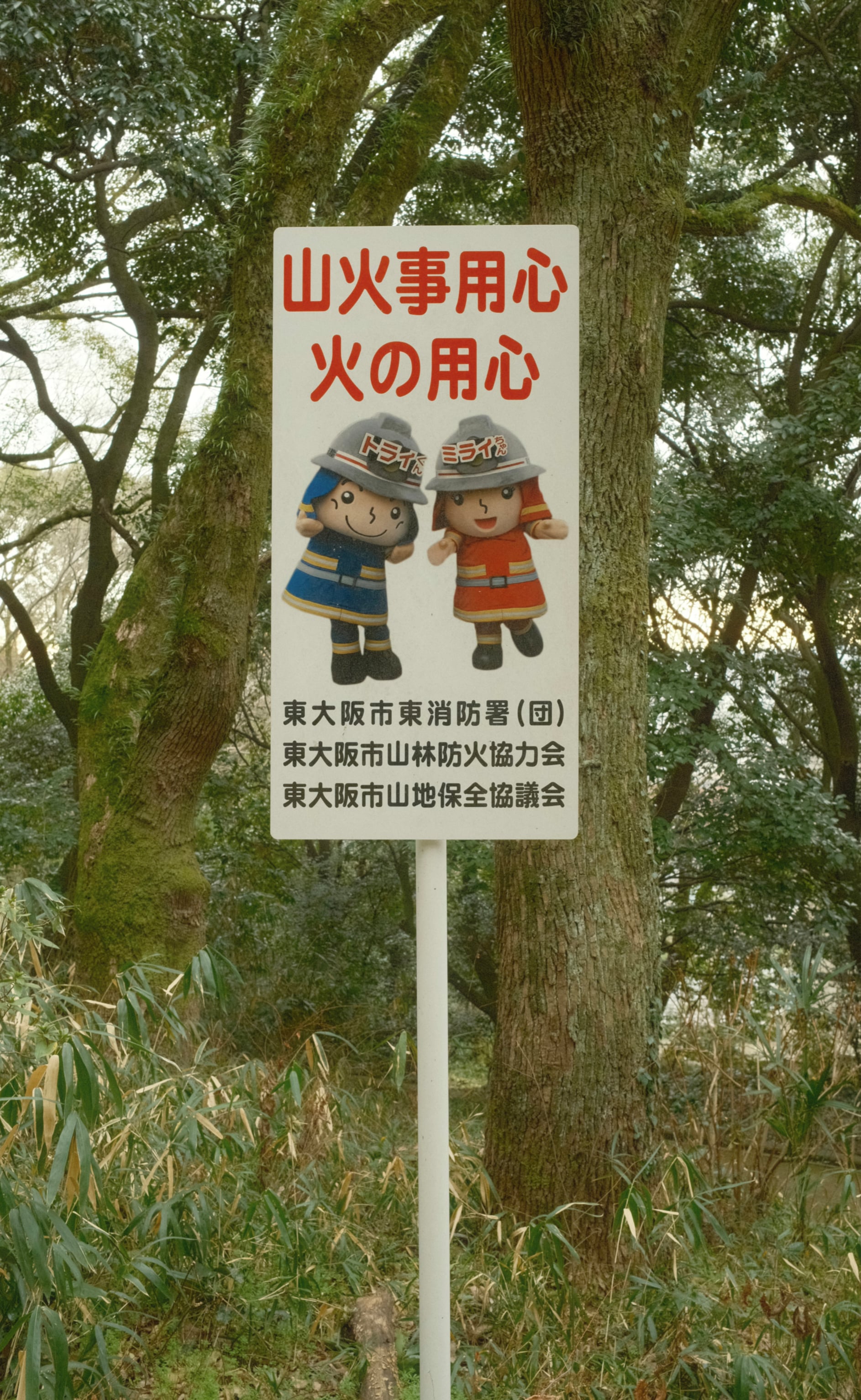 Japan - Photo 48