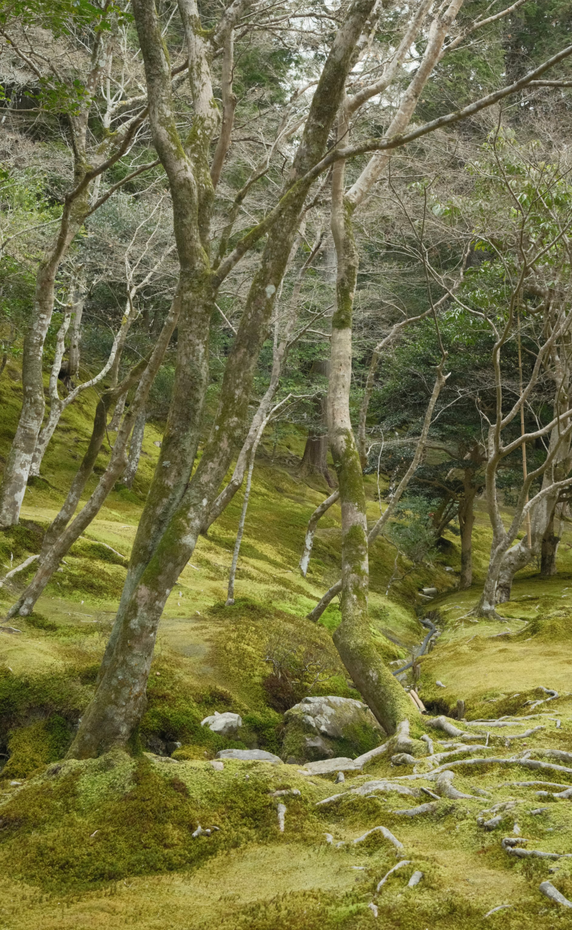 Japan - Photo 51