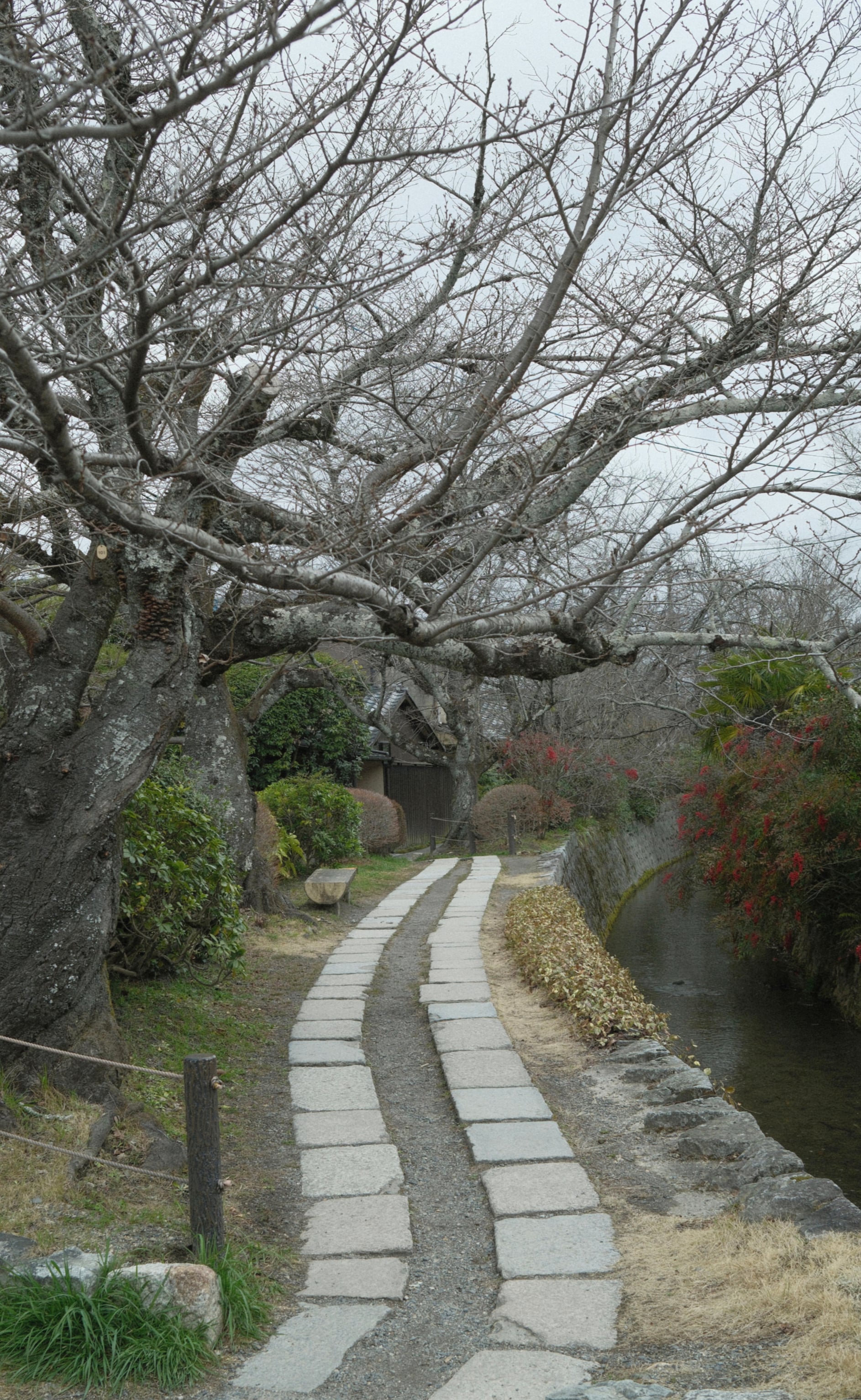 Japan - Photo 3