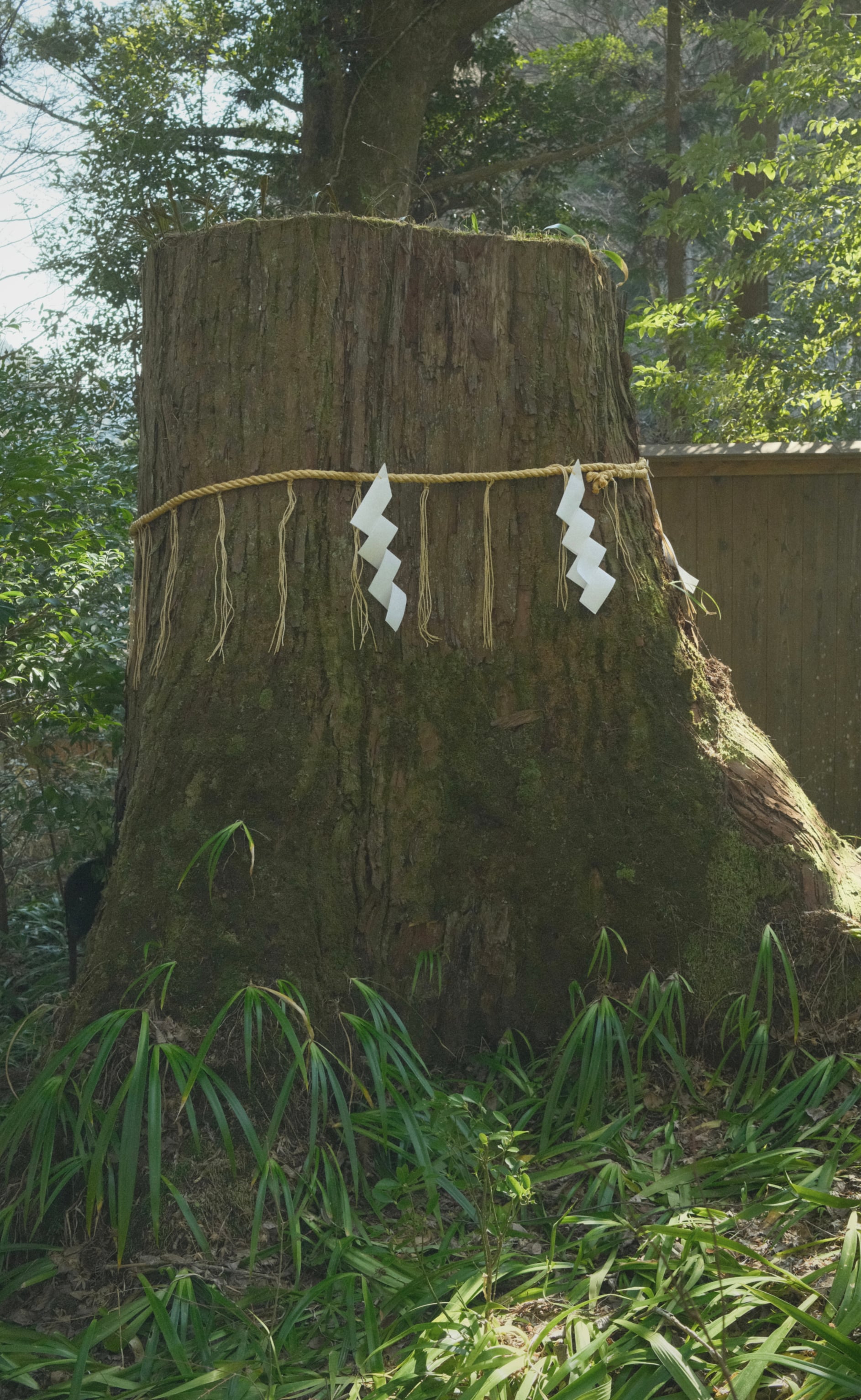 Japan - Photo 24