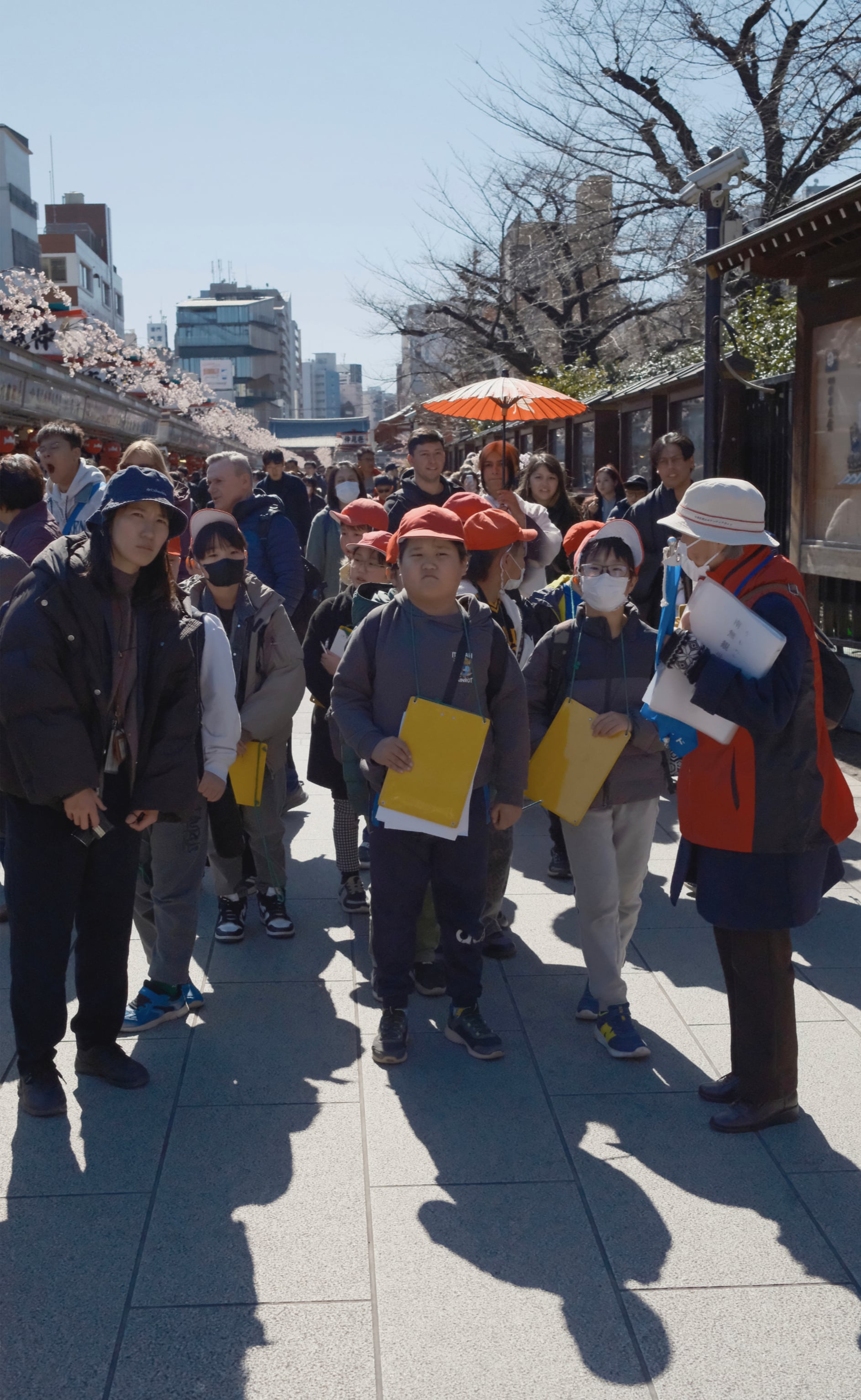 Japan - Photo 7