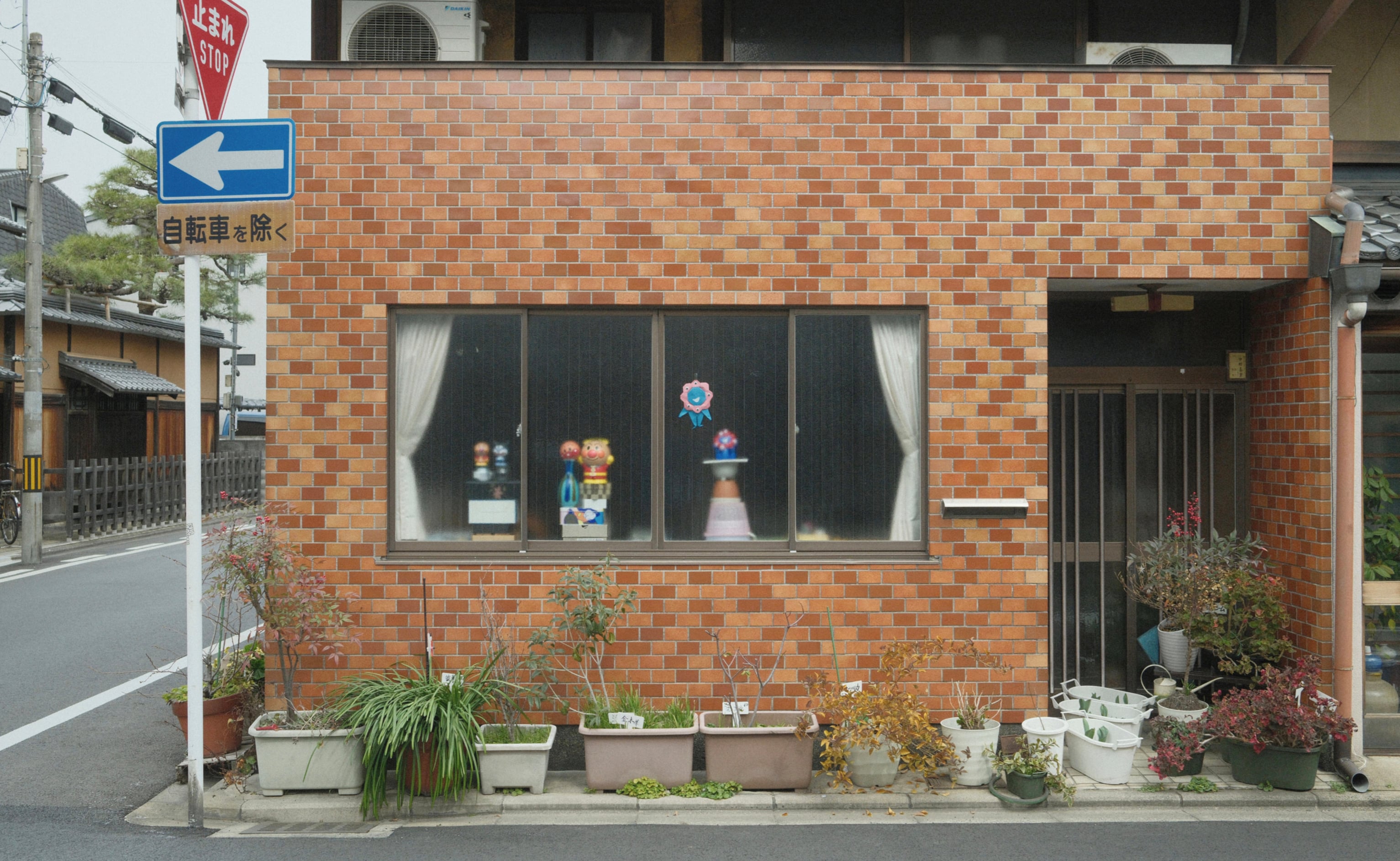 Japan - Photo 19