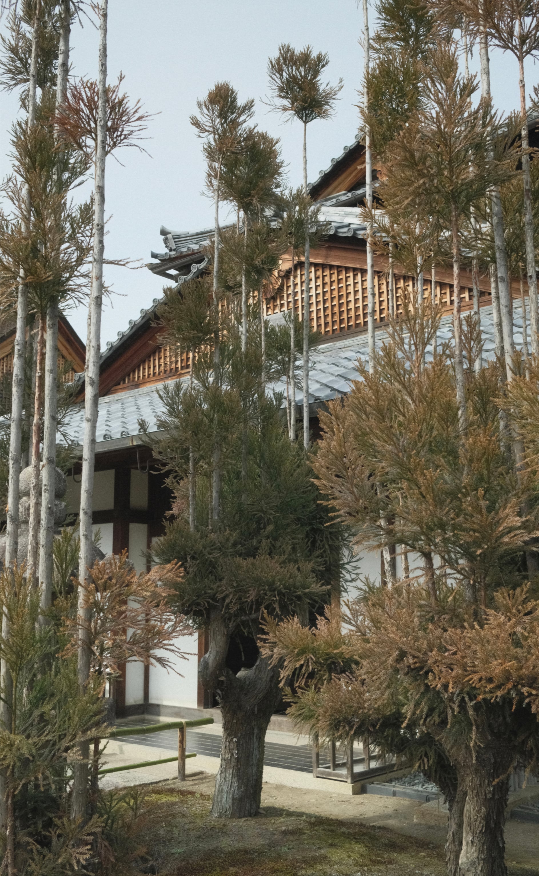 Japan - Photo 41