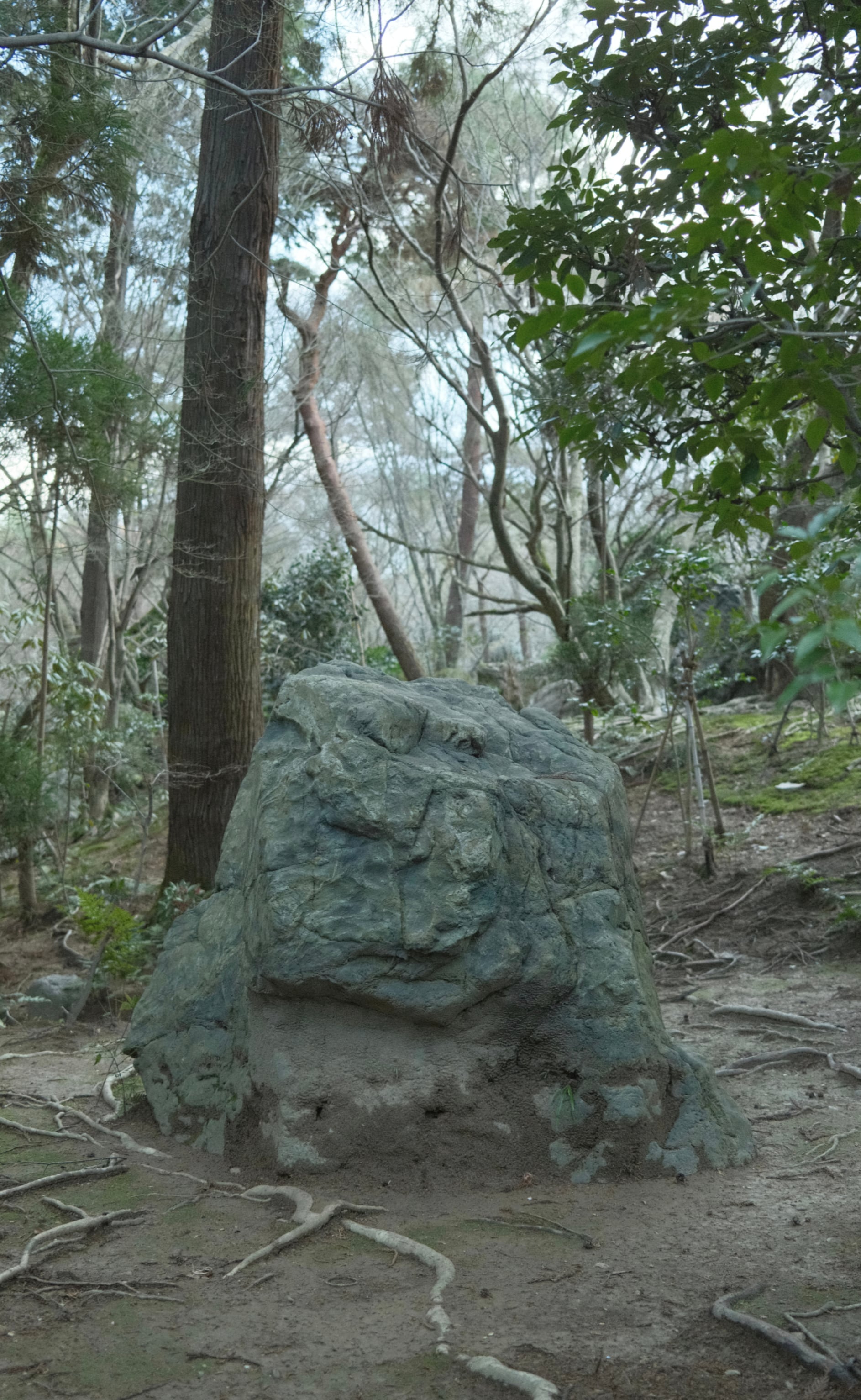 Japan - Photo 6