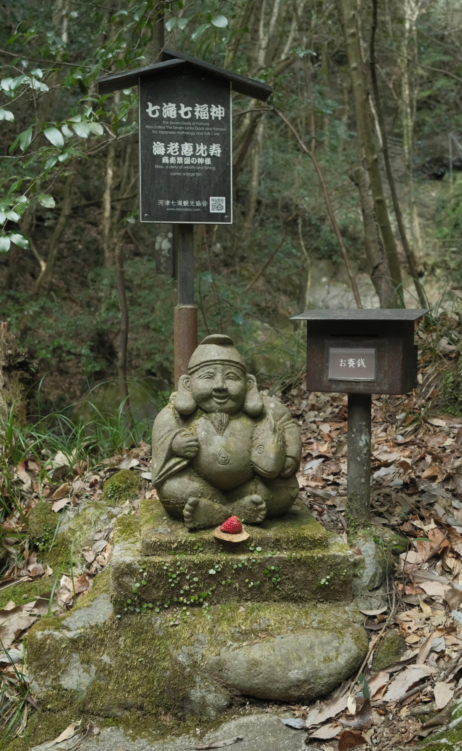 Japan - Photo 67