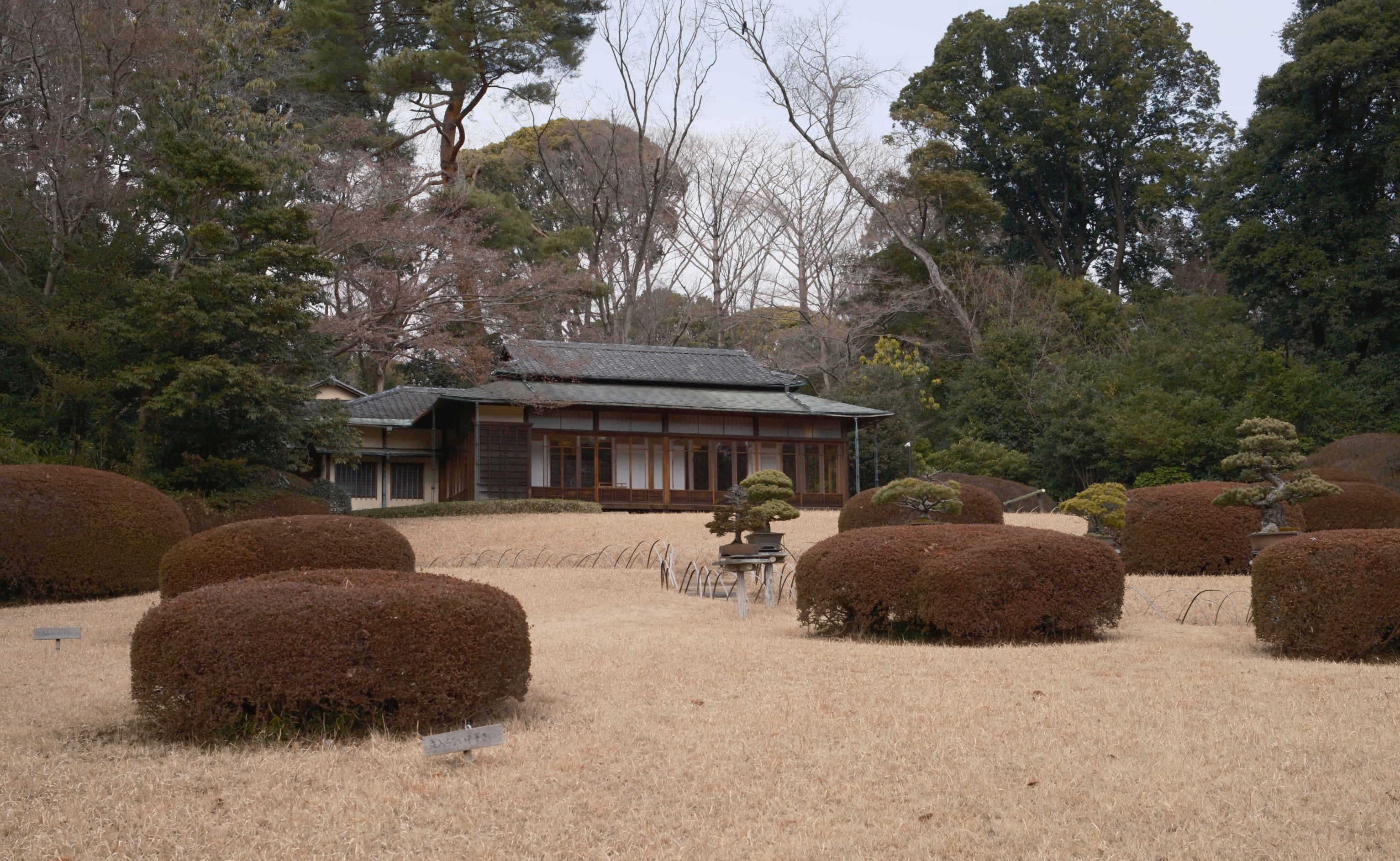 Japan - Photo 5