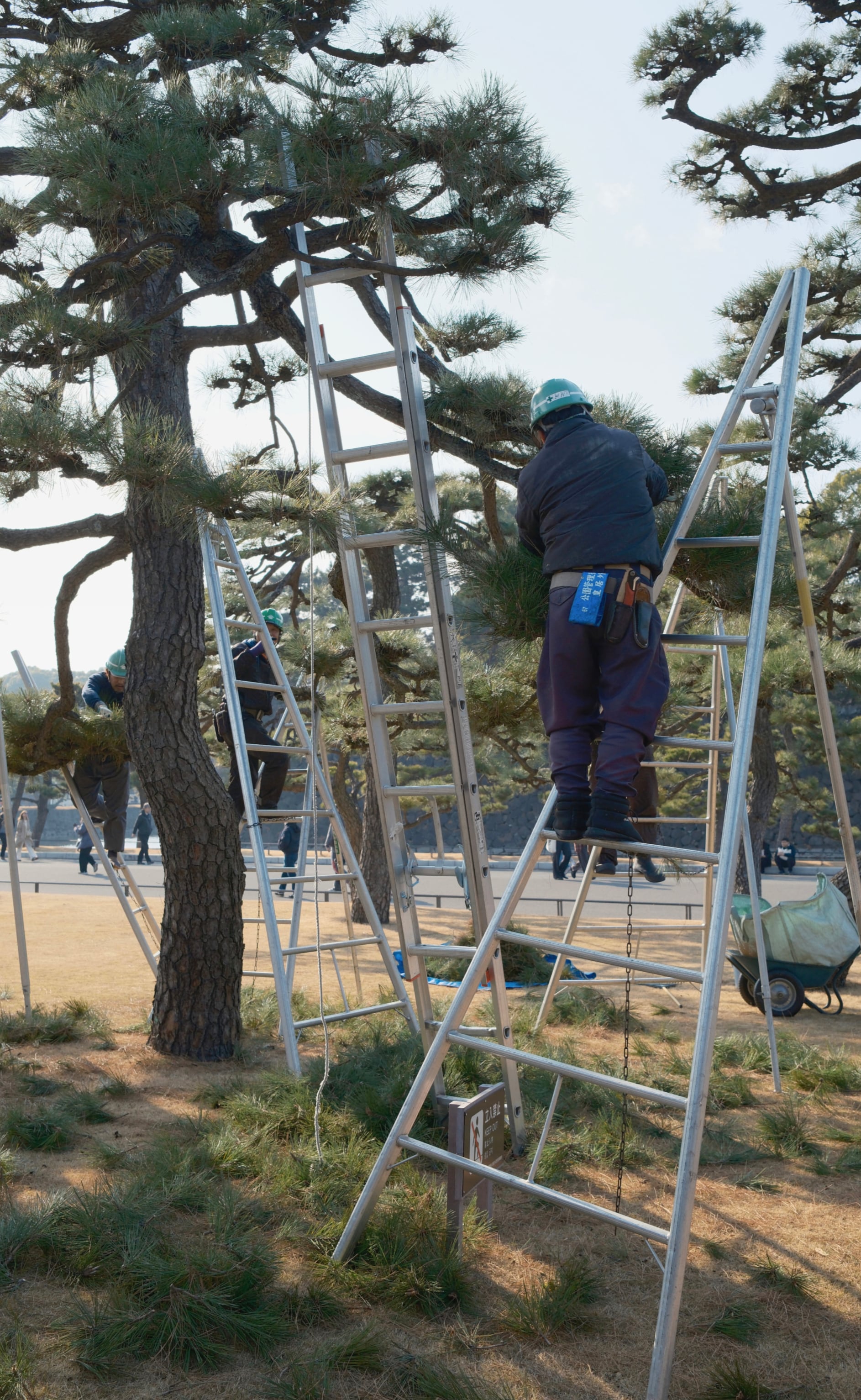 Japan - Photo 3