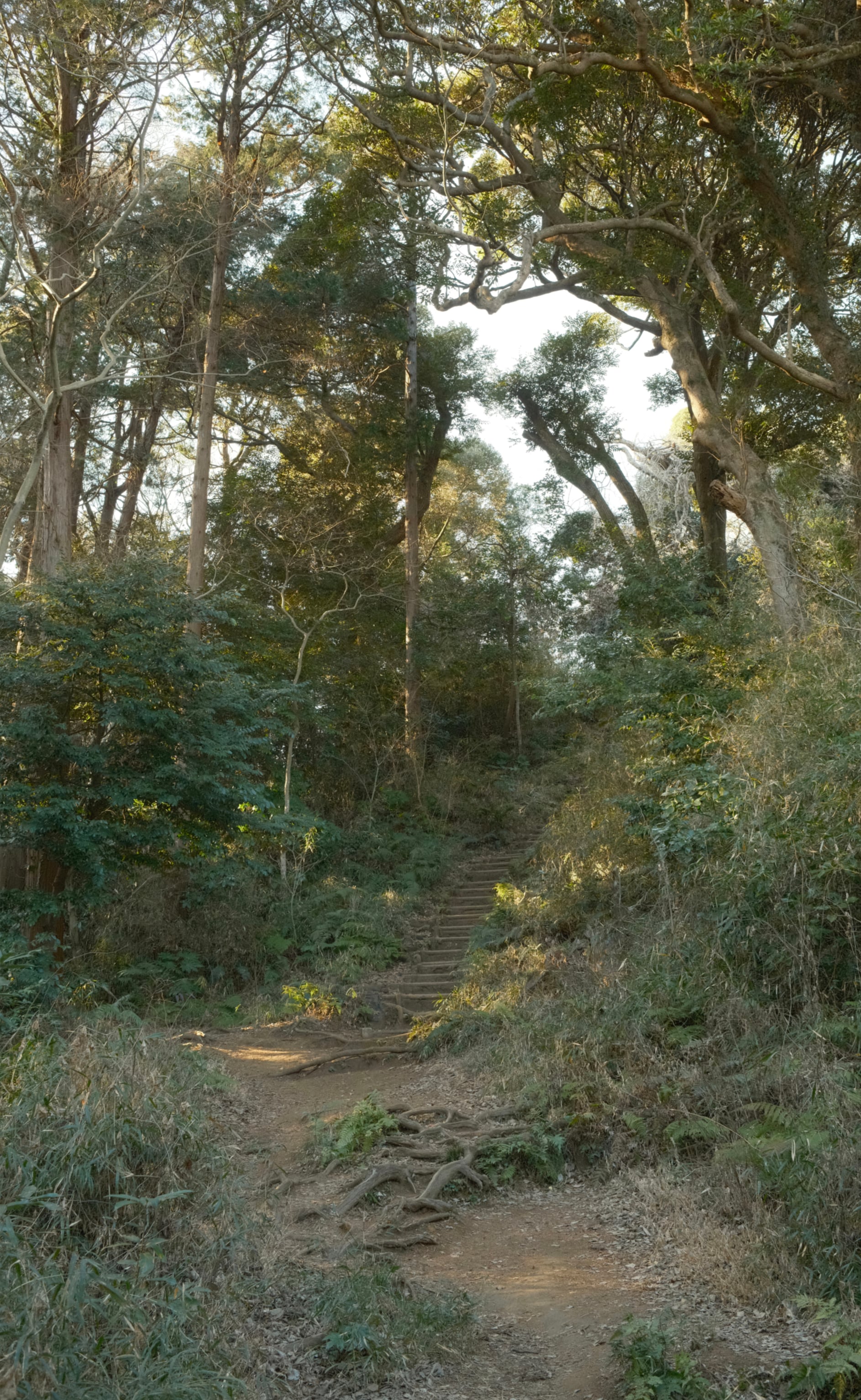 Japan - Photo 19