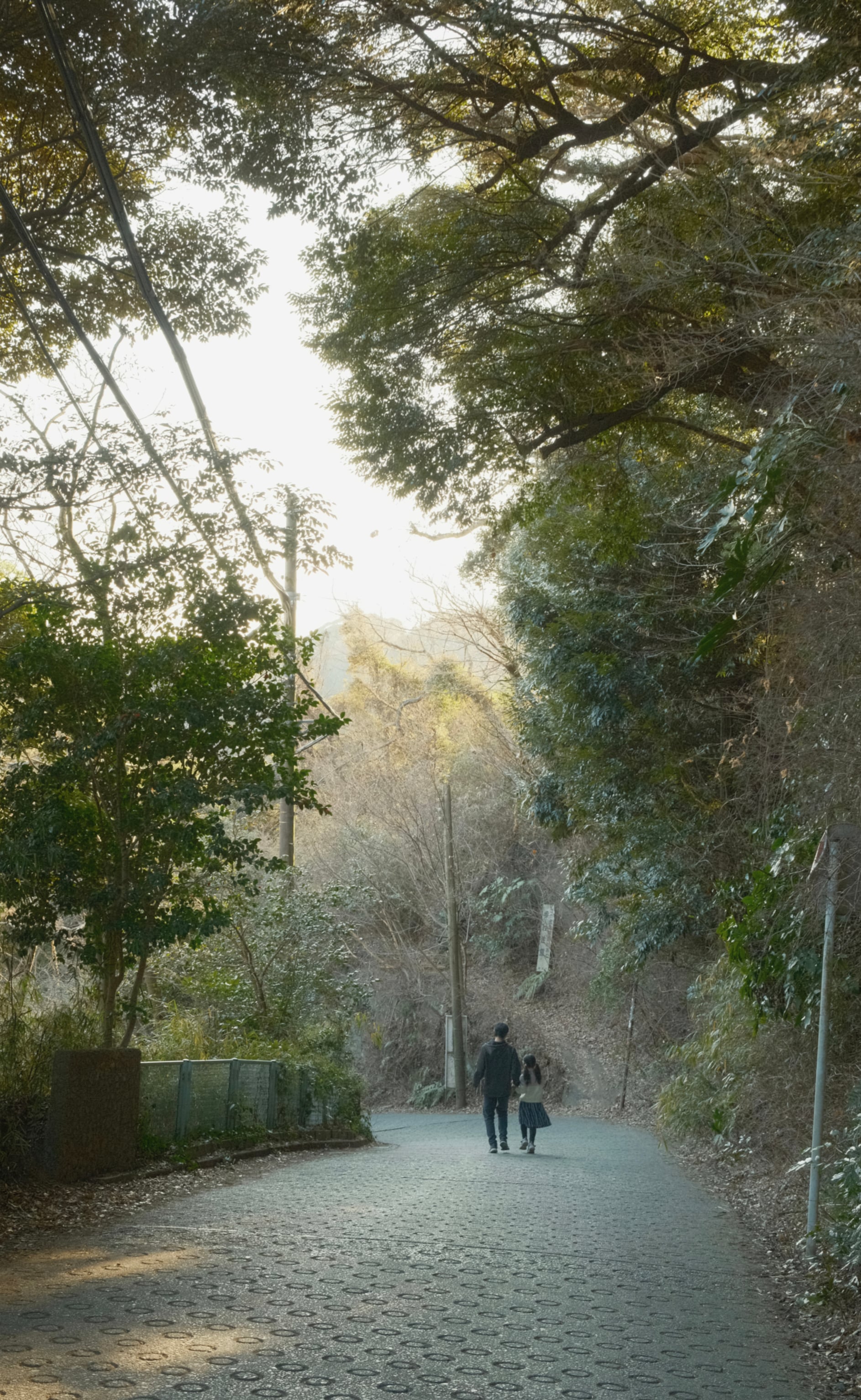 Japan - Photo 6