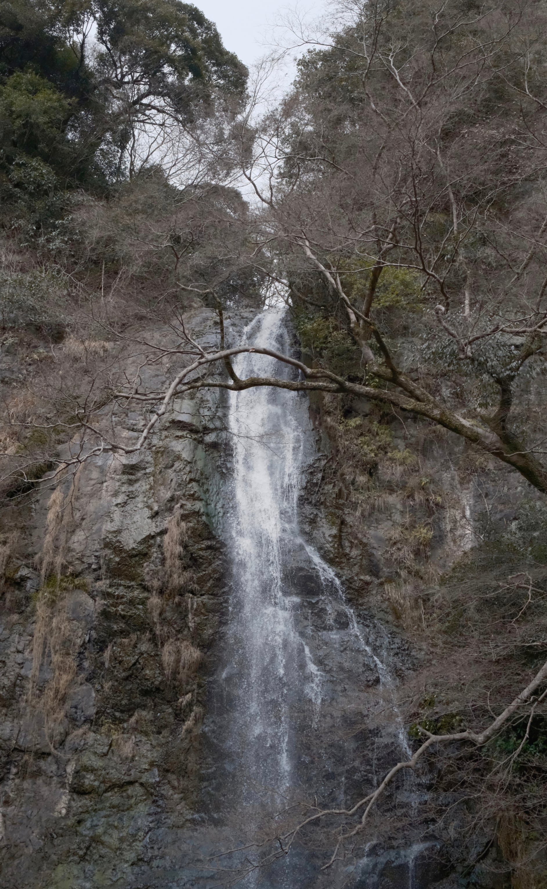 Japan - Photo 9