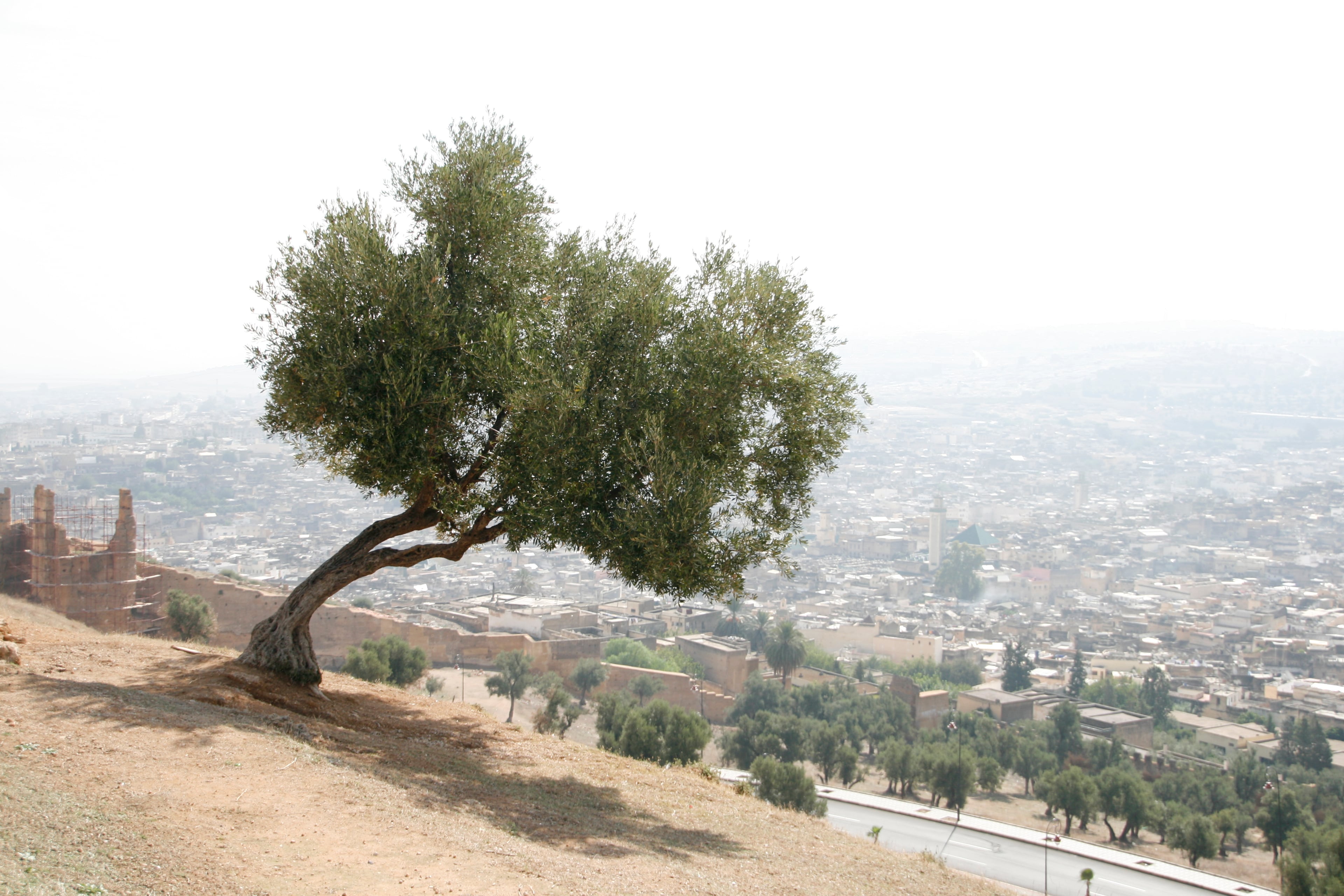Marrocco - Photo 21