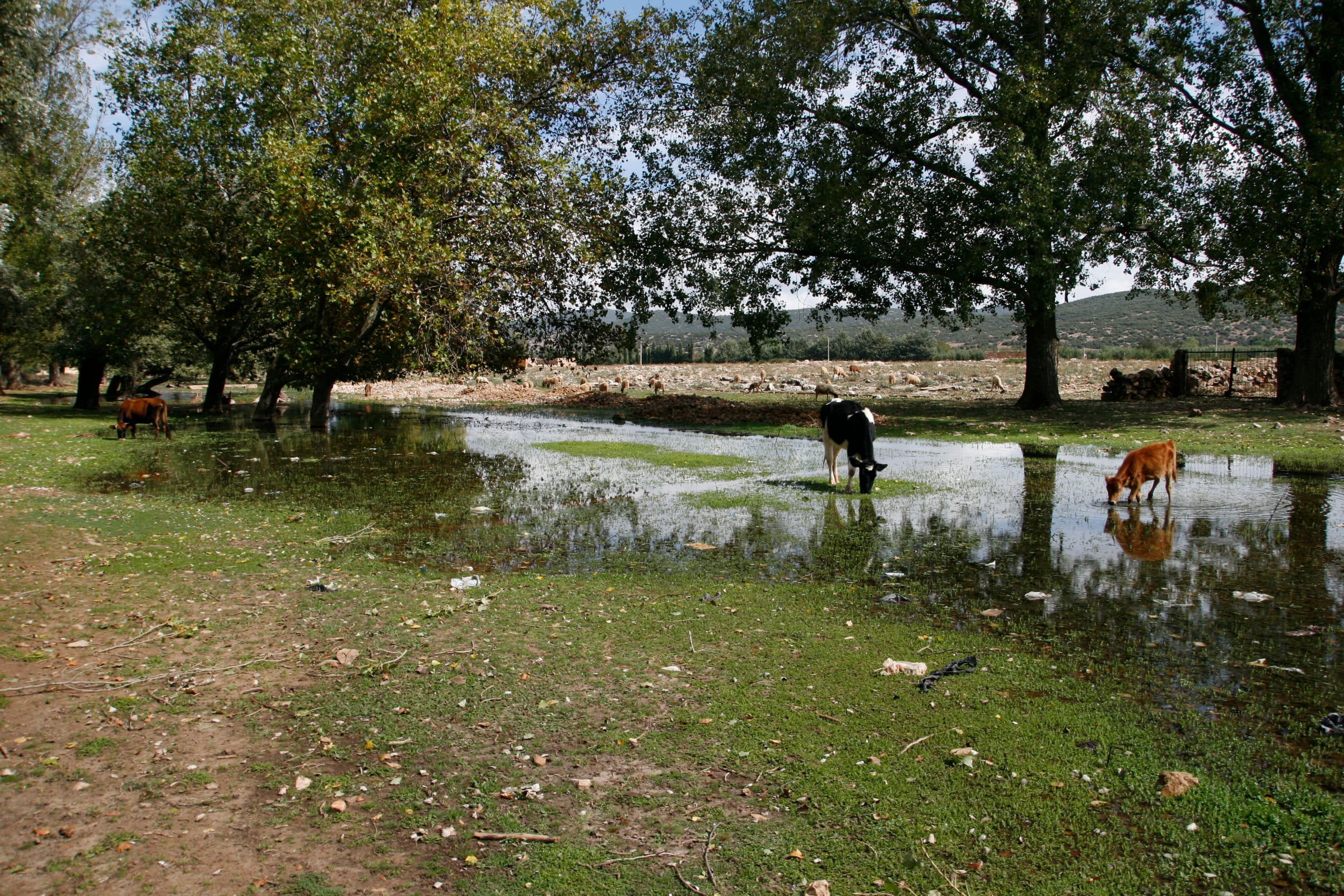 Marrocco - Photo 46