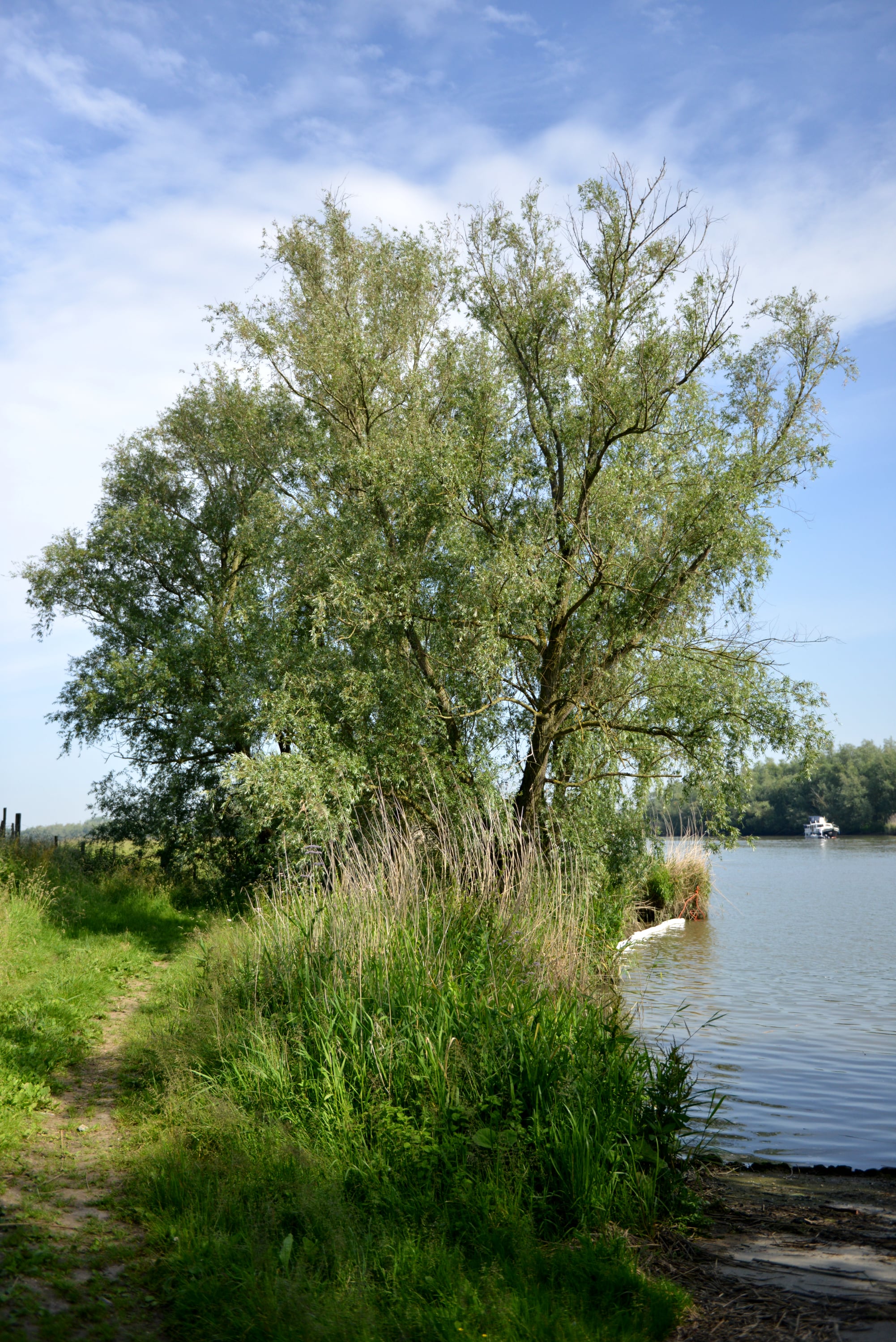 Miscellaneous - Photo 35