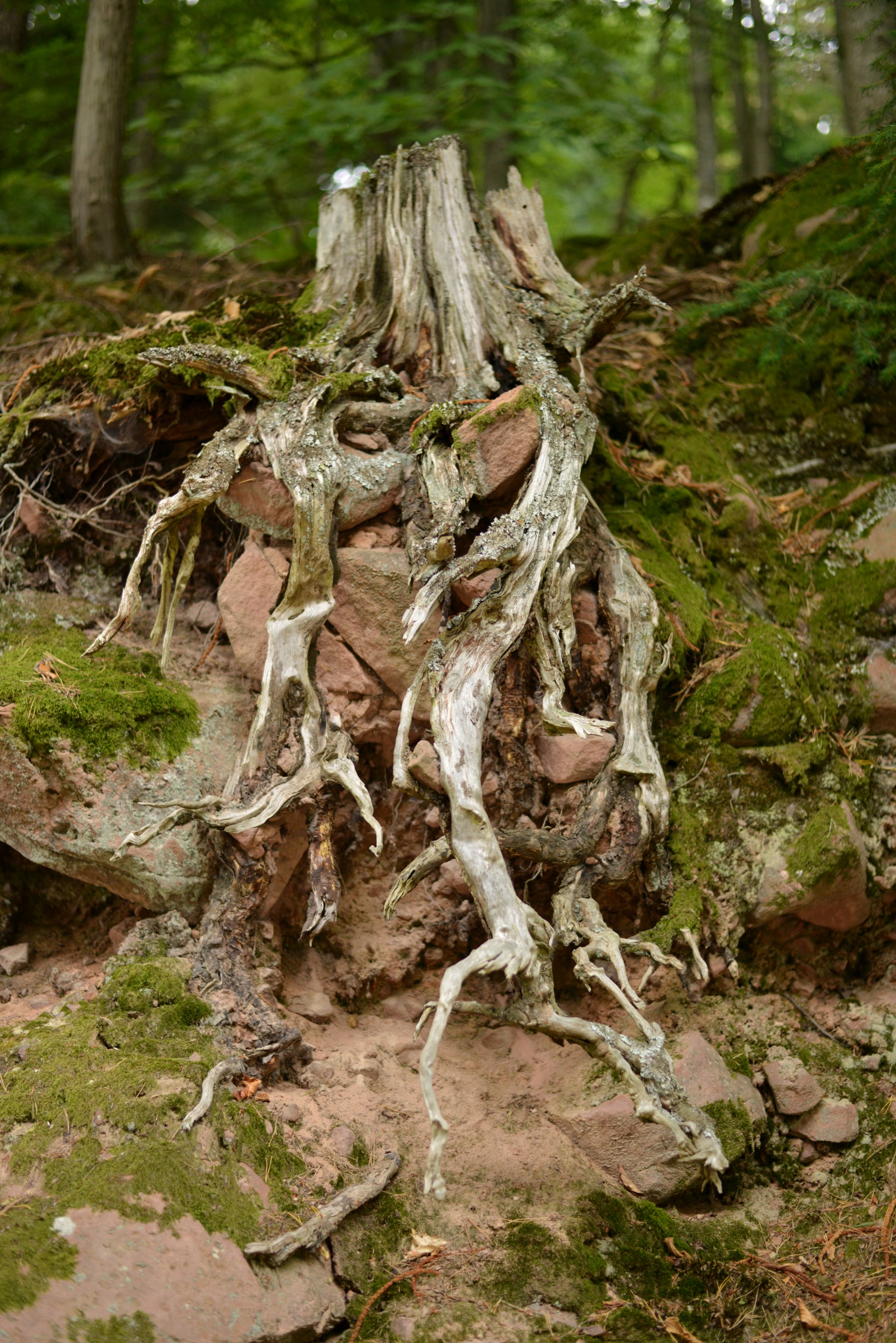 Miscellaneous - Photo 55
