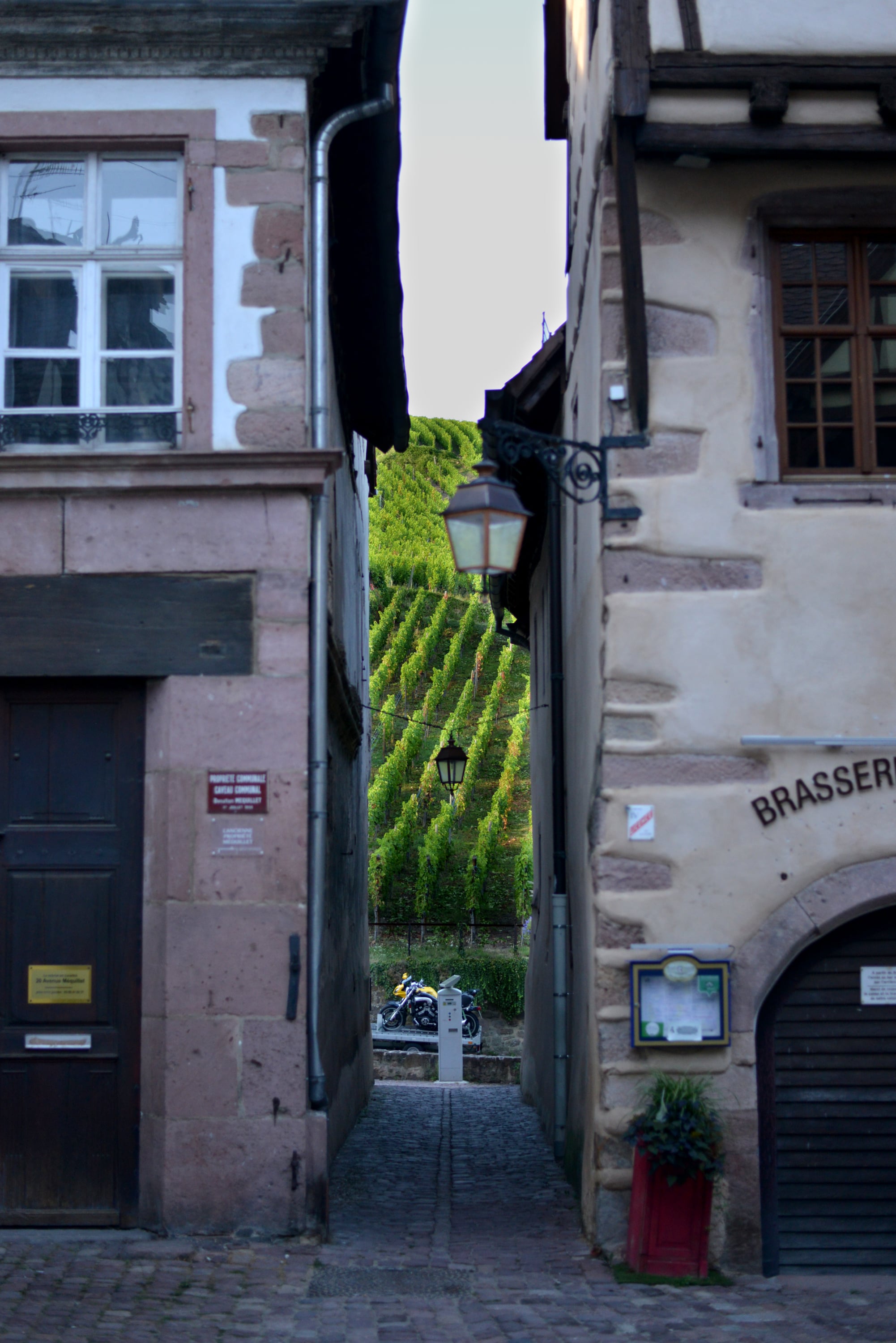 Miscellaneous - Photo 56