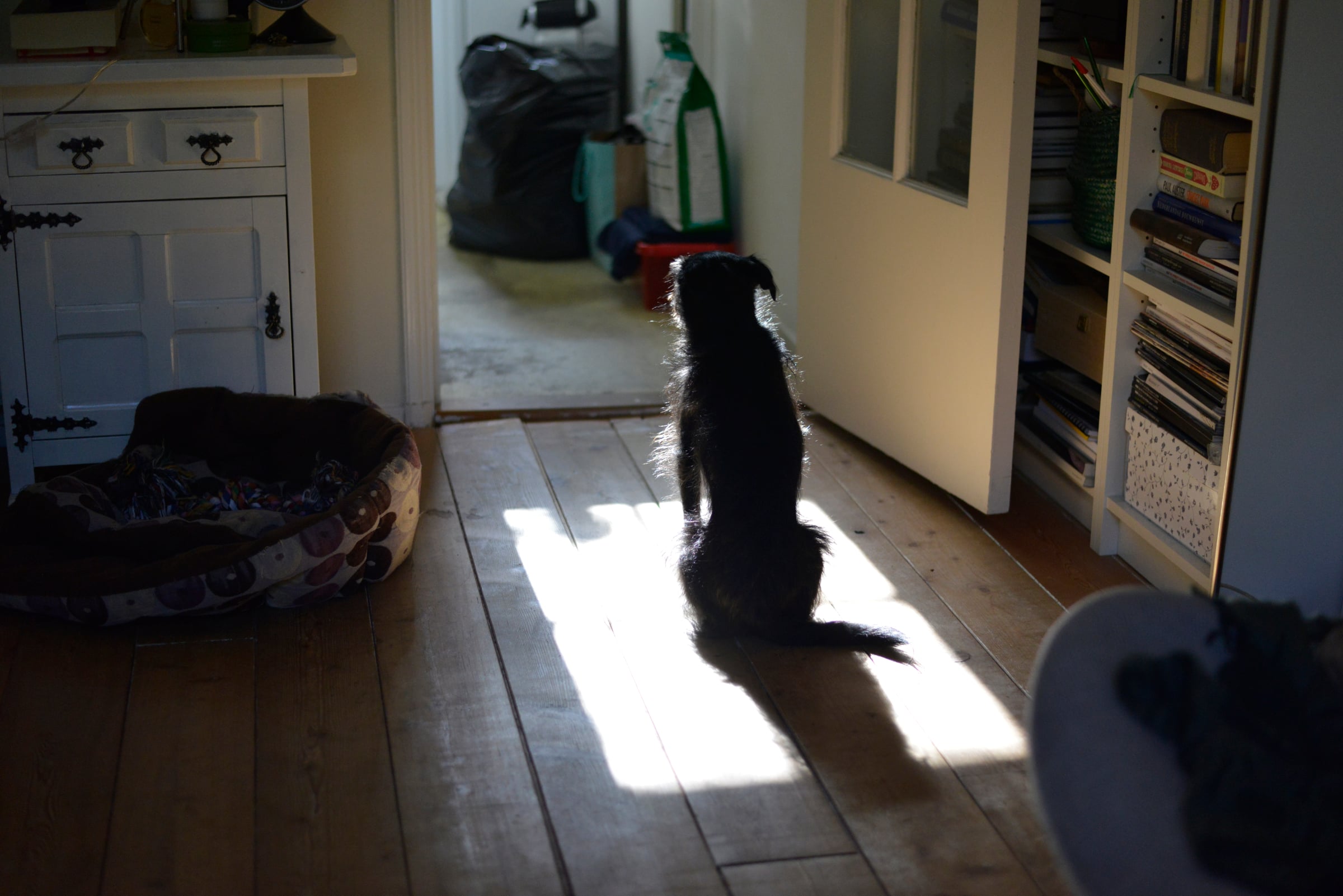 Miscellaneous - Photo 14