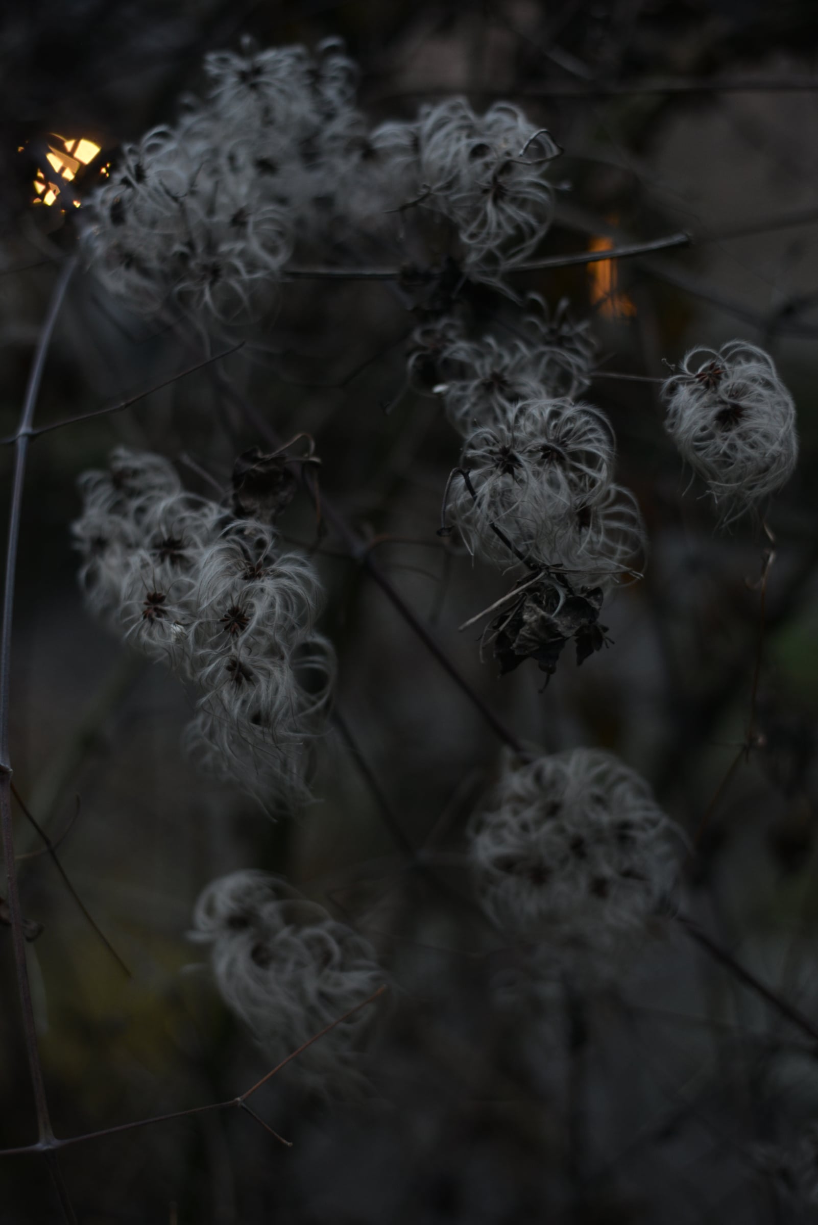Miscellaneous - Photo 29