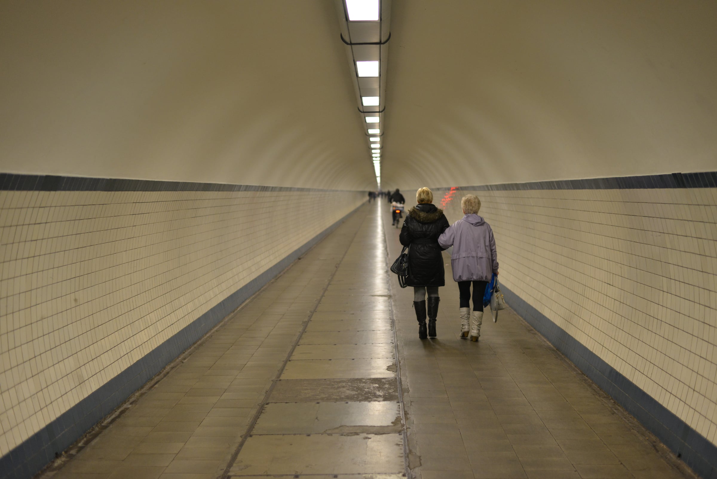 Miscellaneous - Photo 10