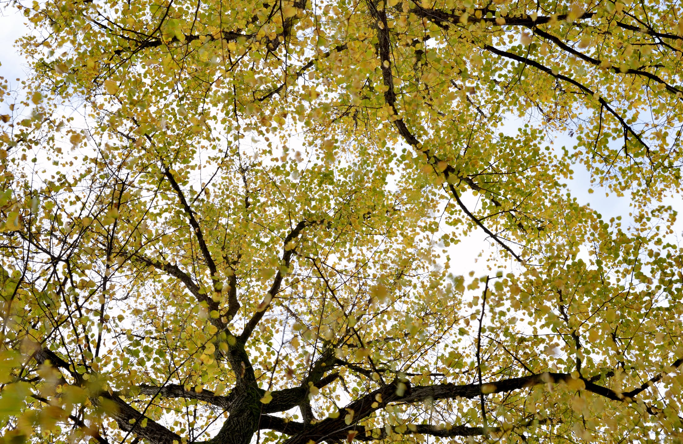 Miscellaneous - Photo 66