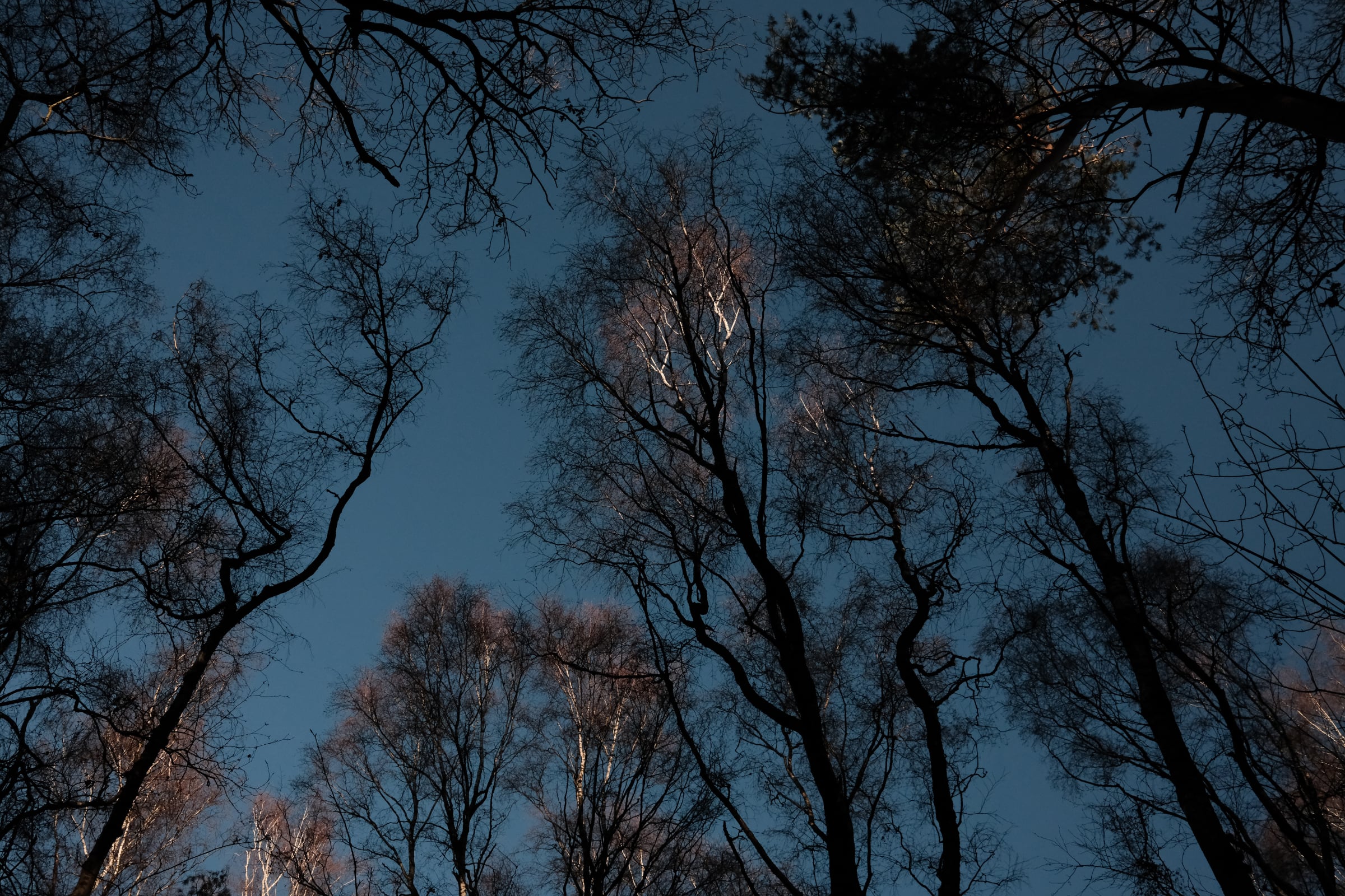 Miscellaneous - Photo 32