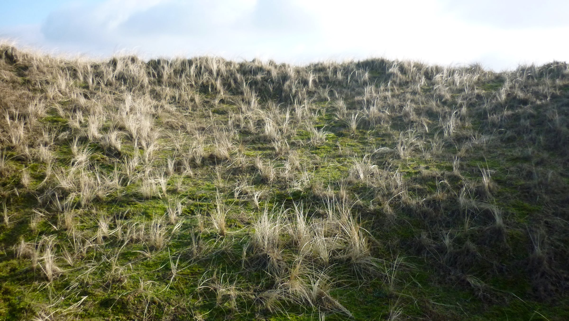 Miscellaneous - Photo 5