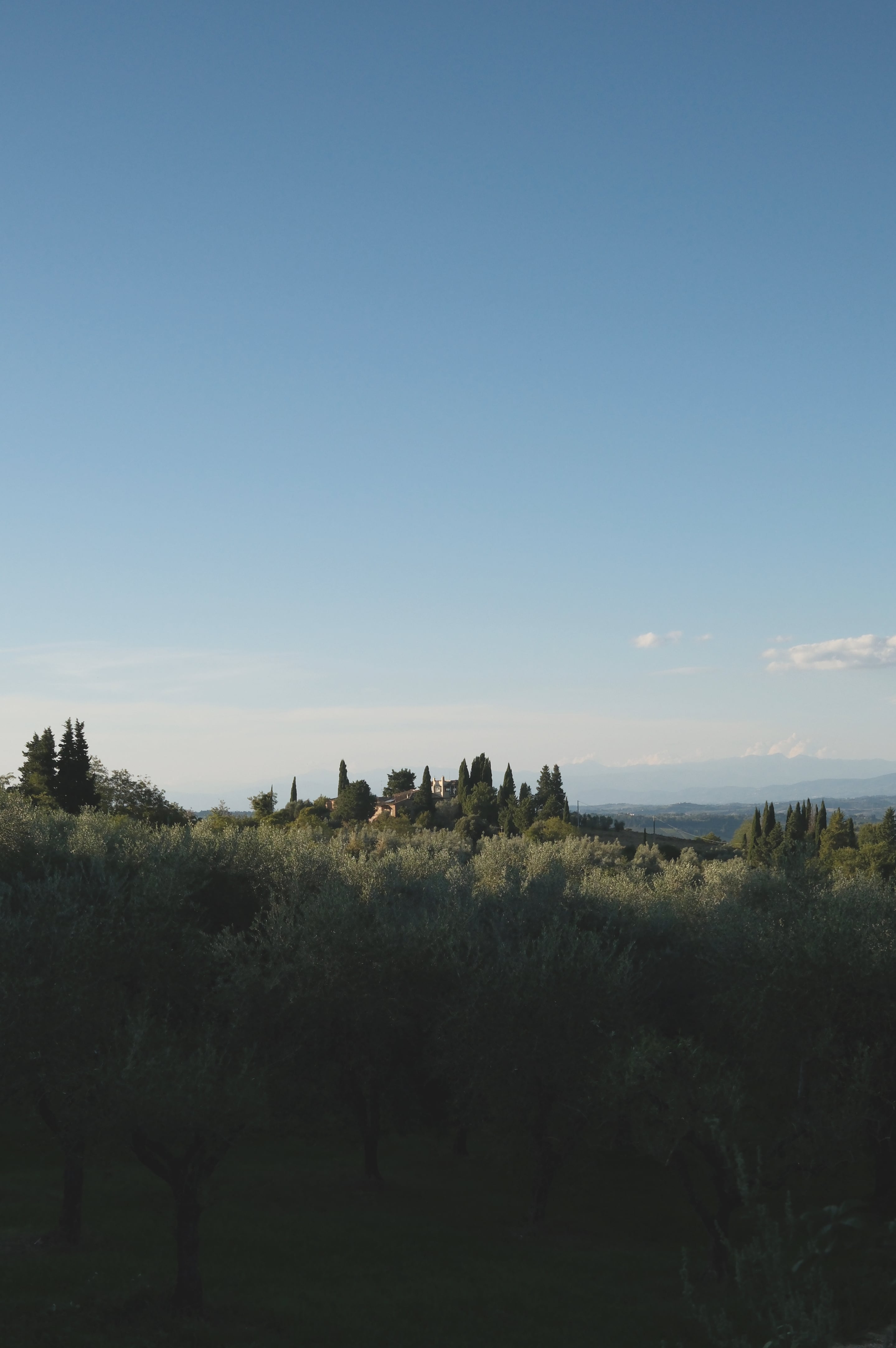 Tuscany - Photo 21