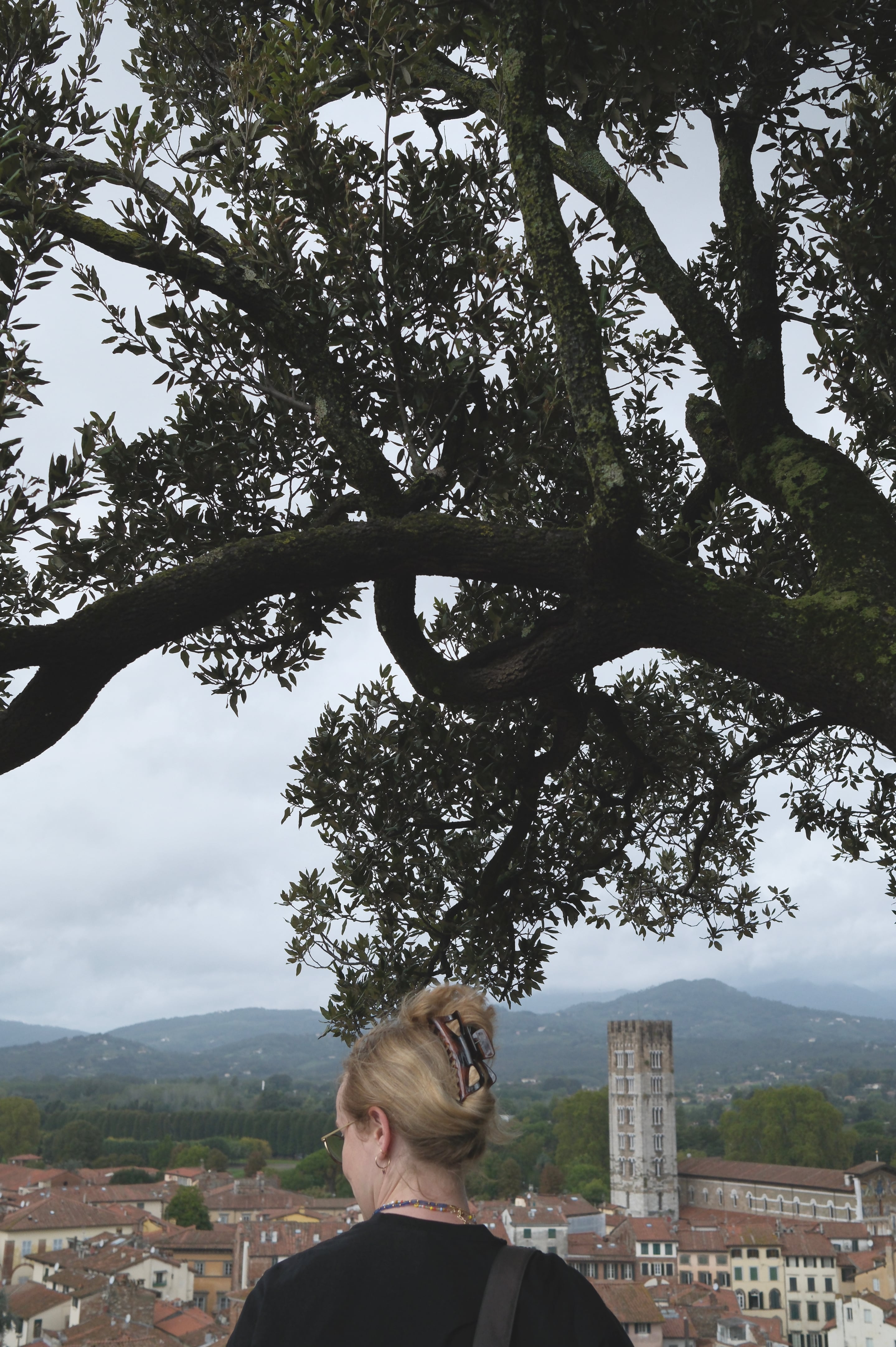 Tuscany - Photo 15